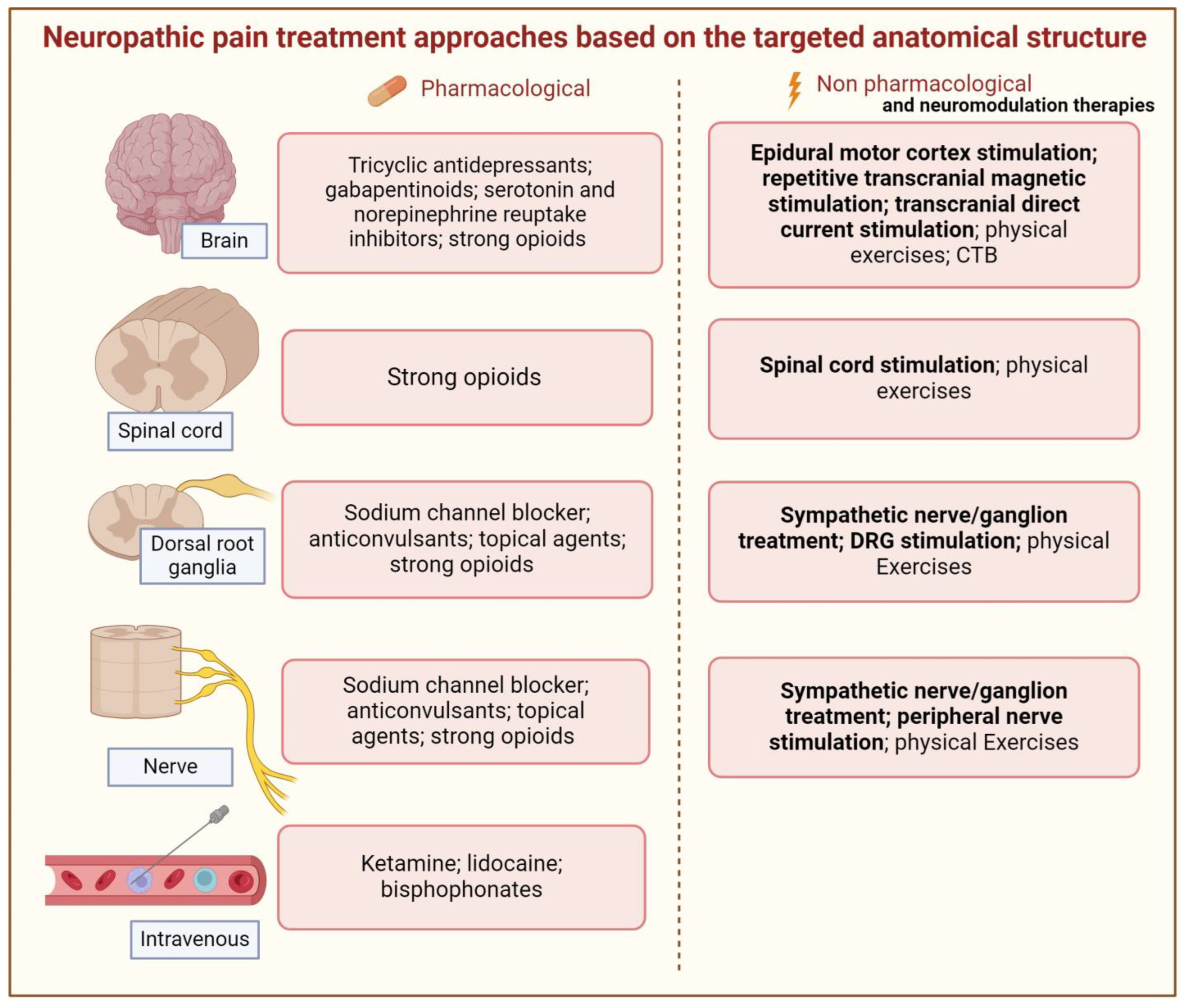 Brainsci 14 00589 g004