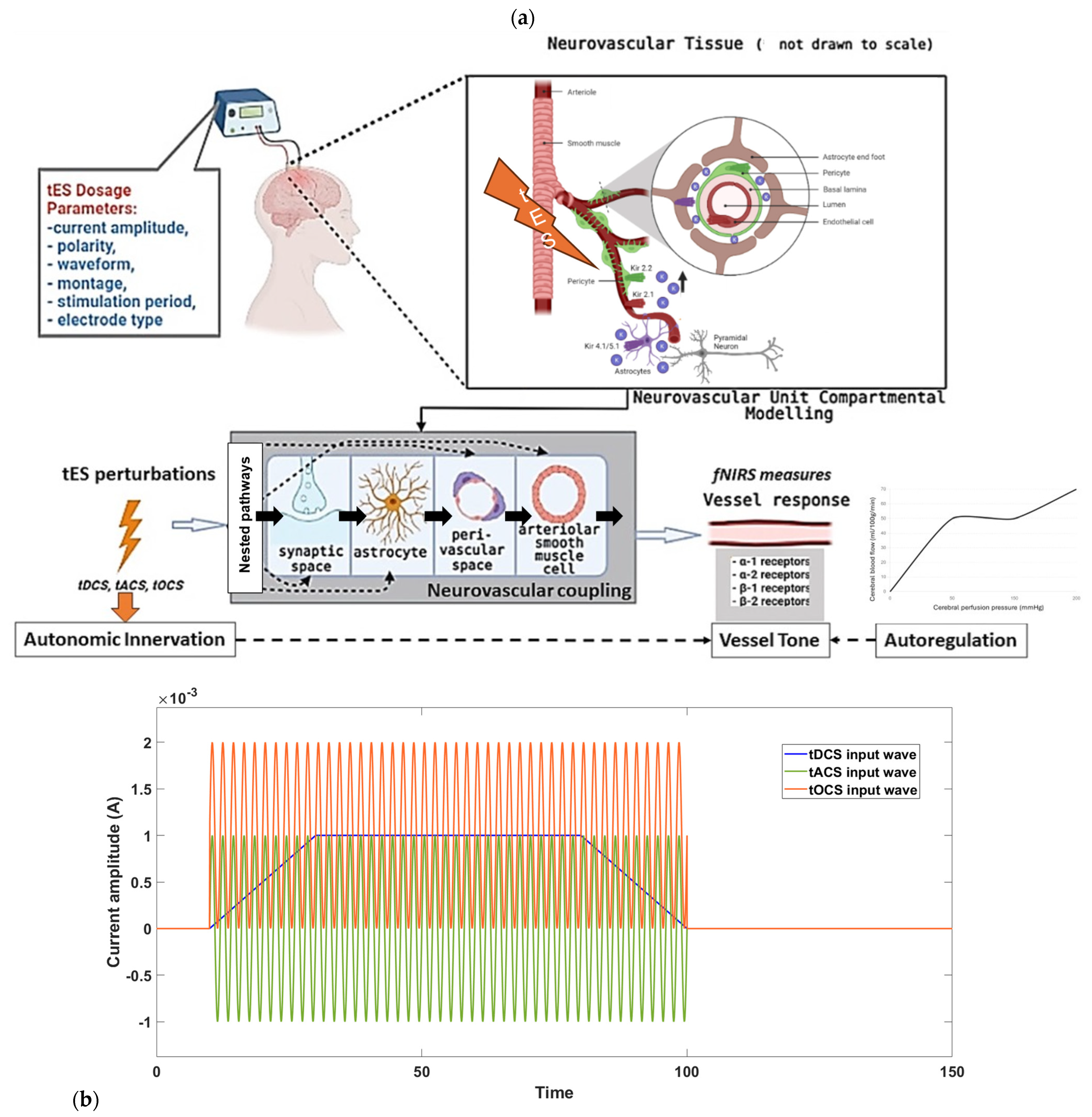 Brainsci 14 00591 g001 Brainsci 14 00591 g001