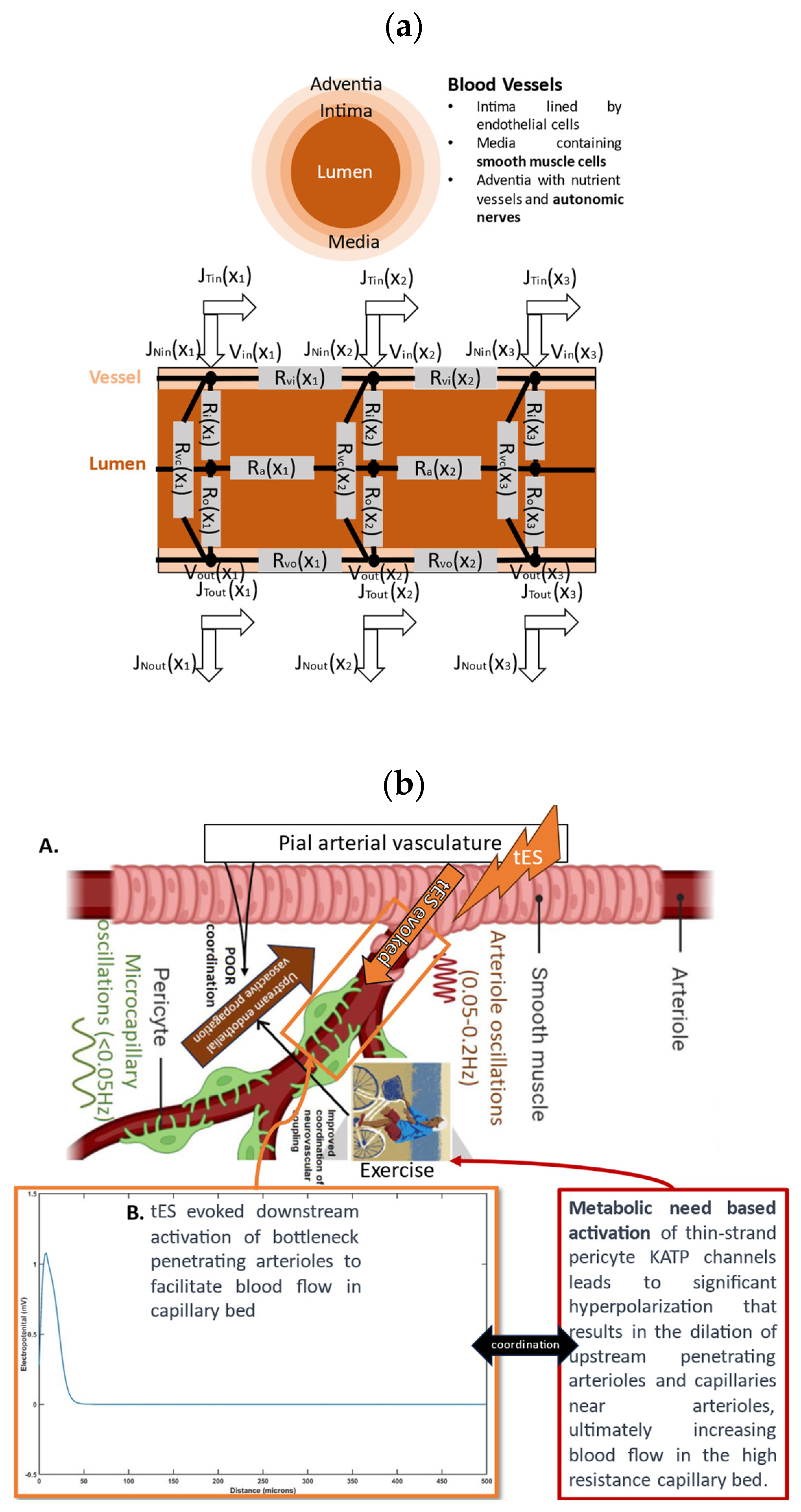Brainsci 14 00591 g002a Brainsci 14 00591 g002a