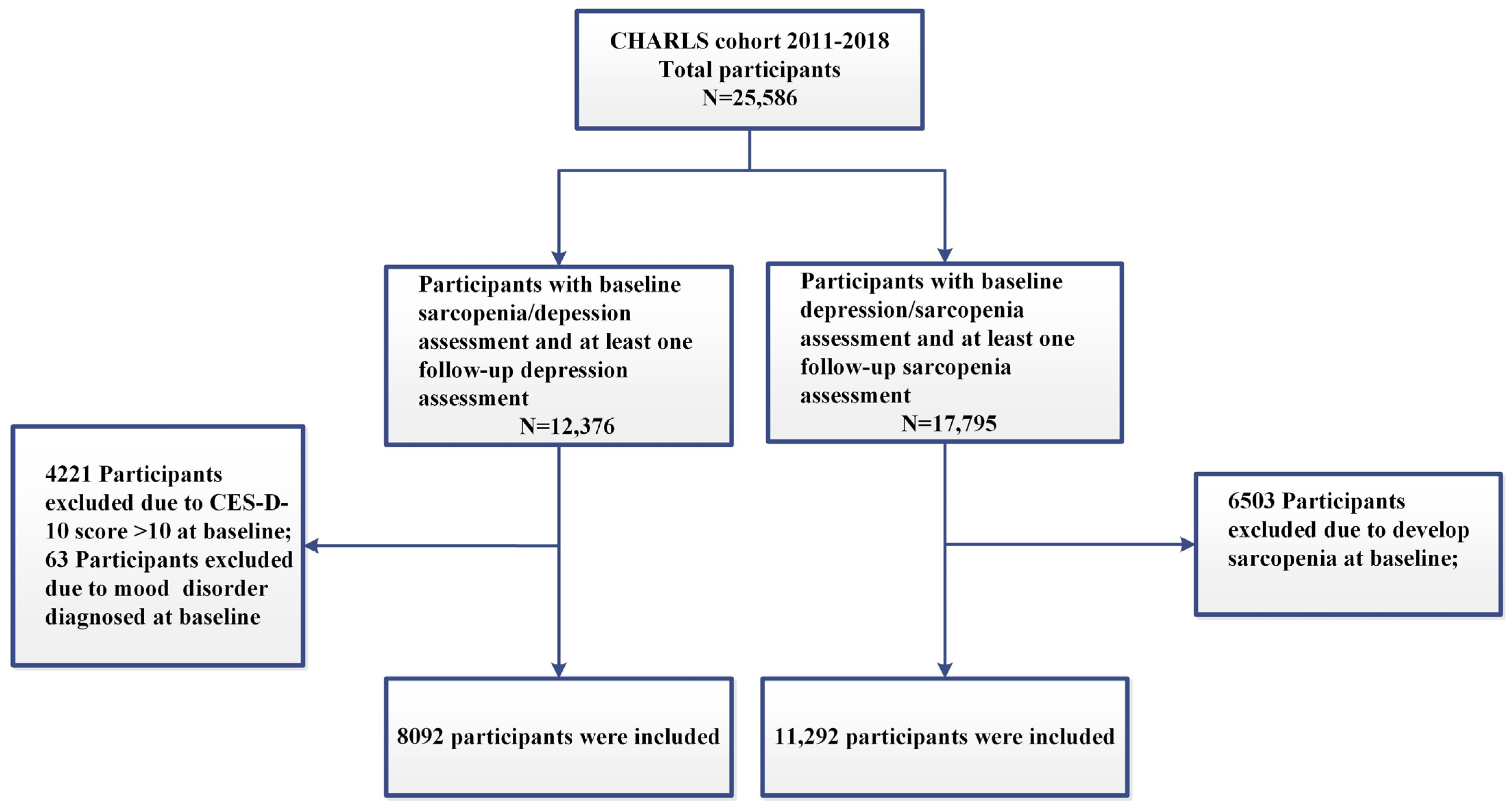 Brainsci 14 00593 g001