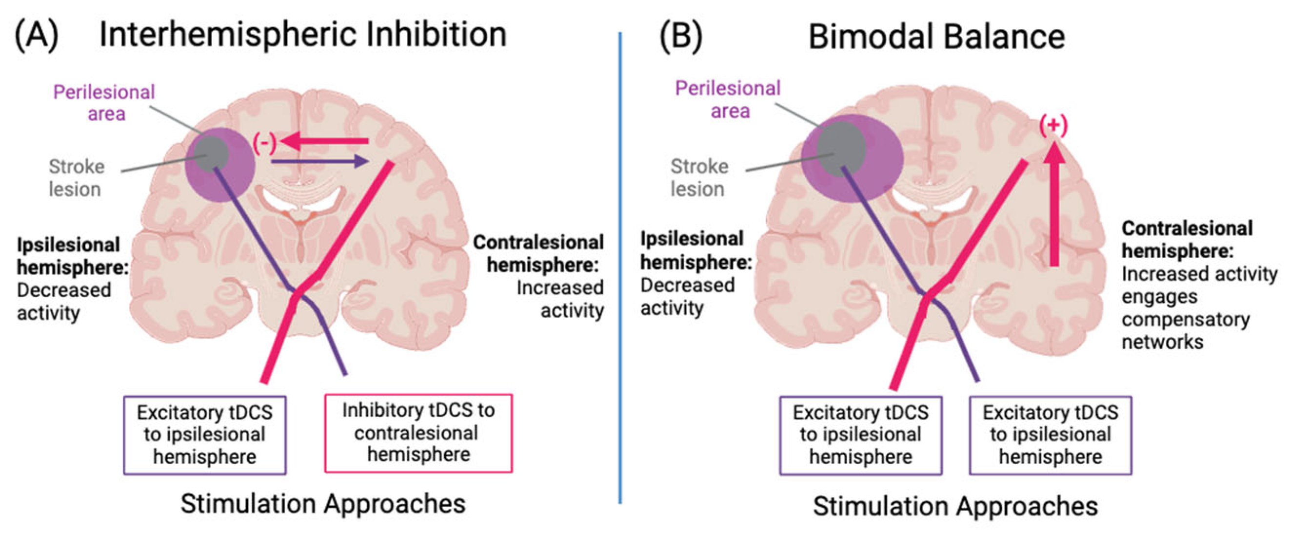 Brainsci 14 00614 g002 Brainsci 14 00614 g002