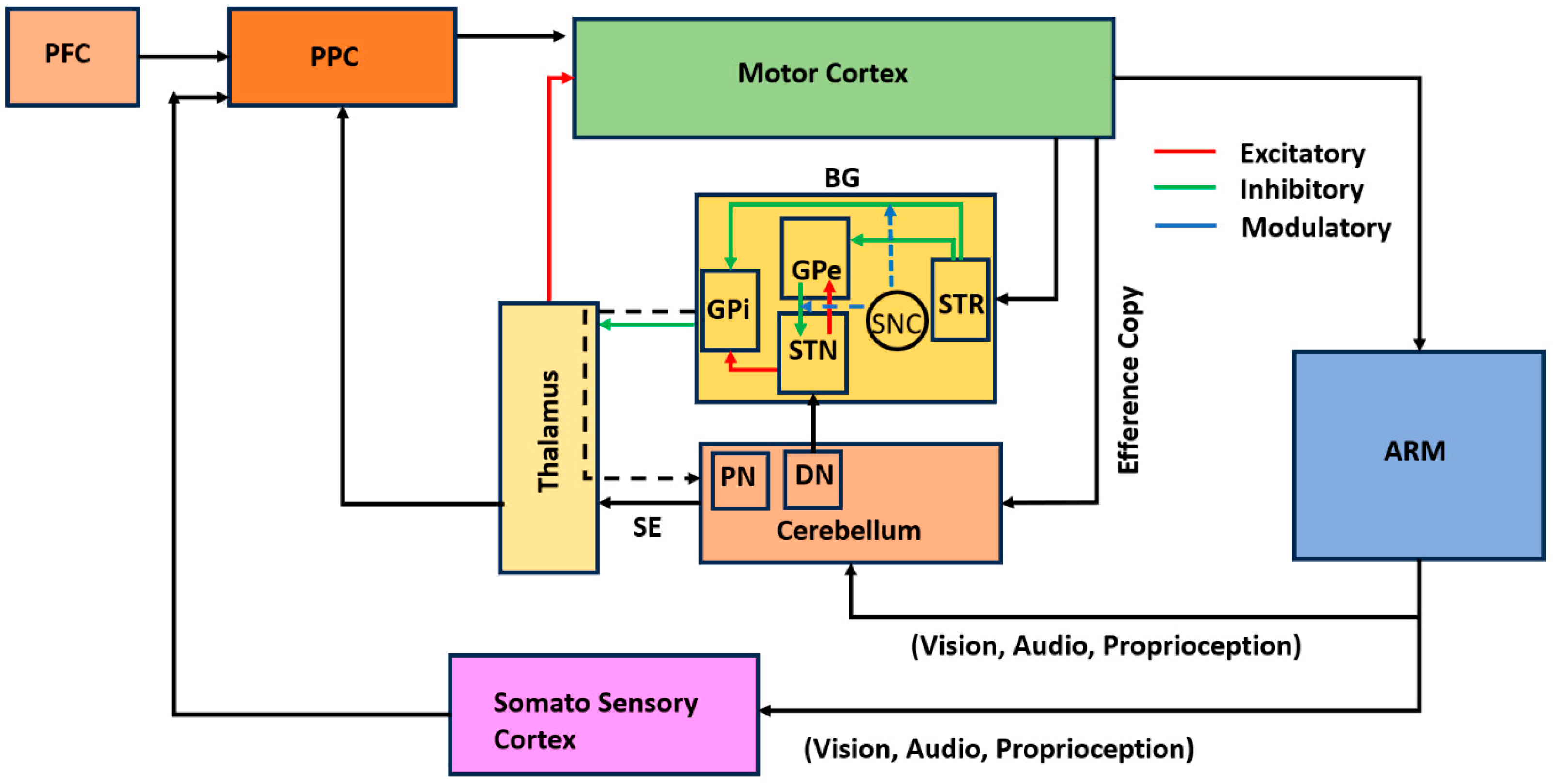 Brainsci 14 00620 g012 Brainsci 14 00620 g012