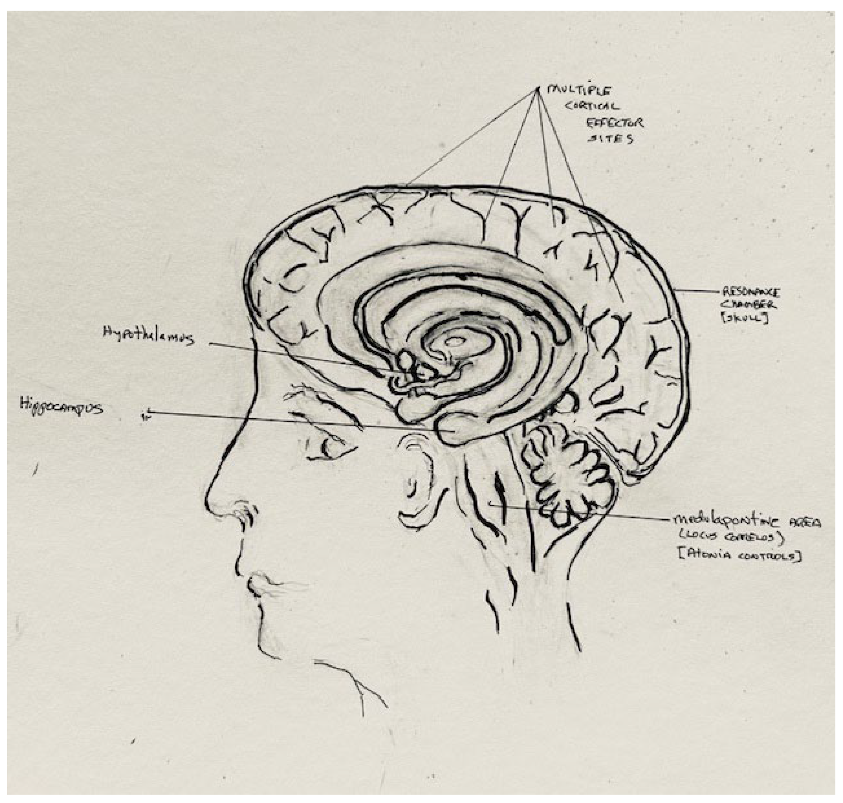 Brainsci 14 00622 g002