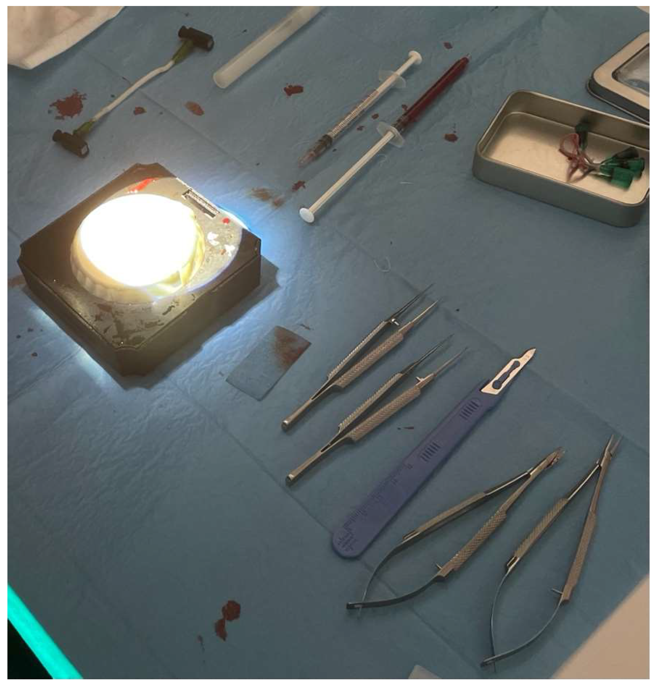 Brainsci 14 00627 g001