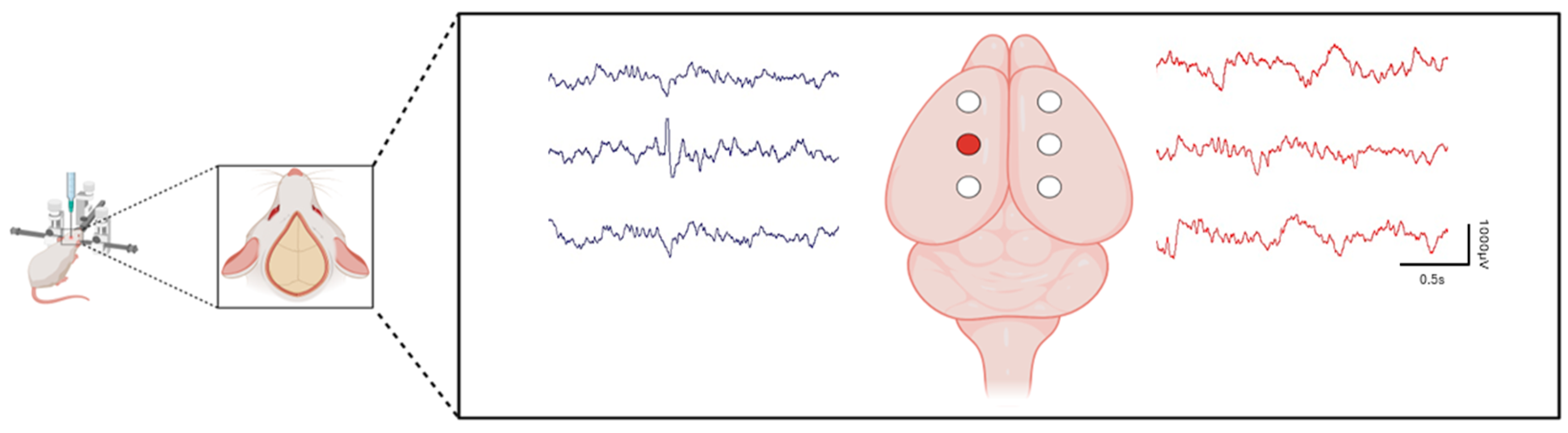 Brainsci 14 00634 g001