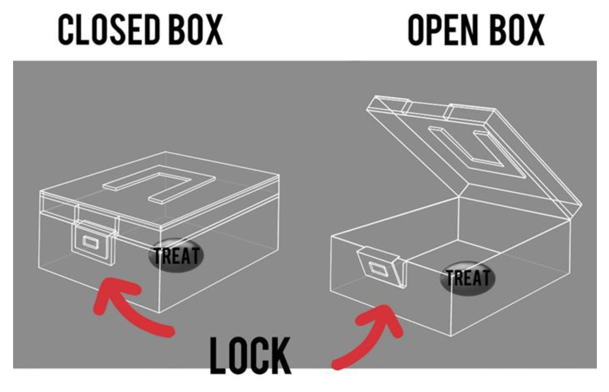 Brainsci 14 00635 g005