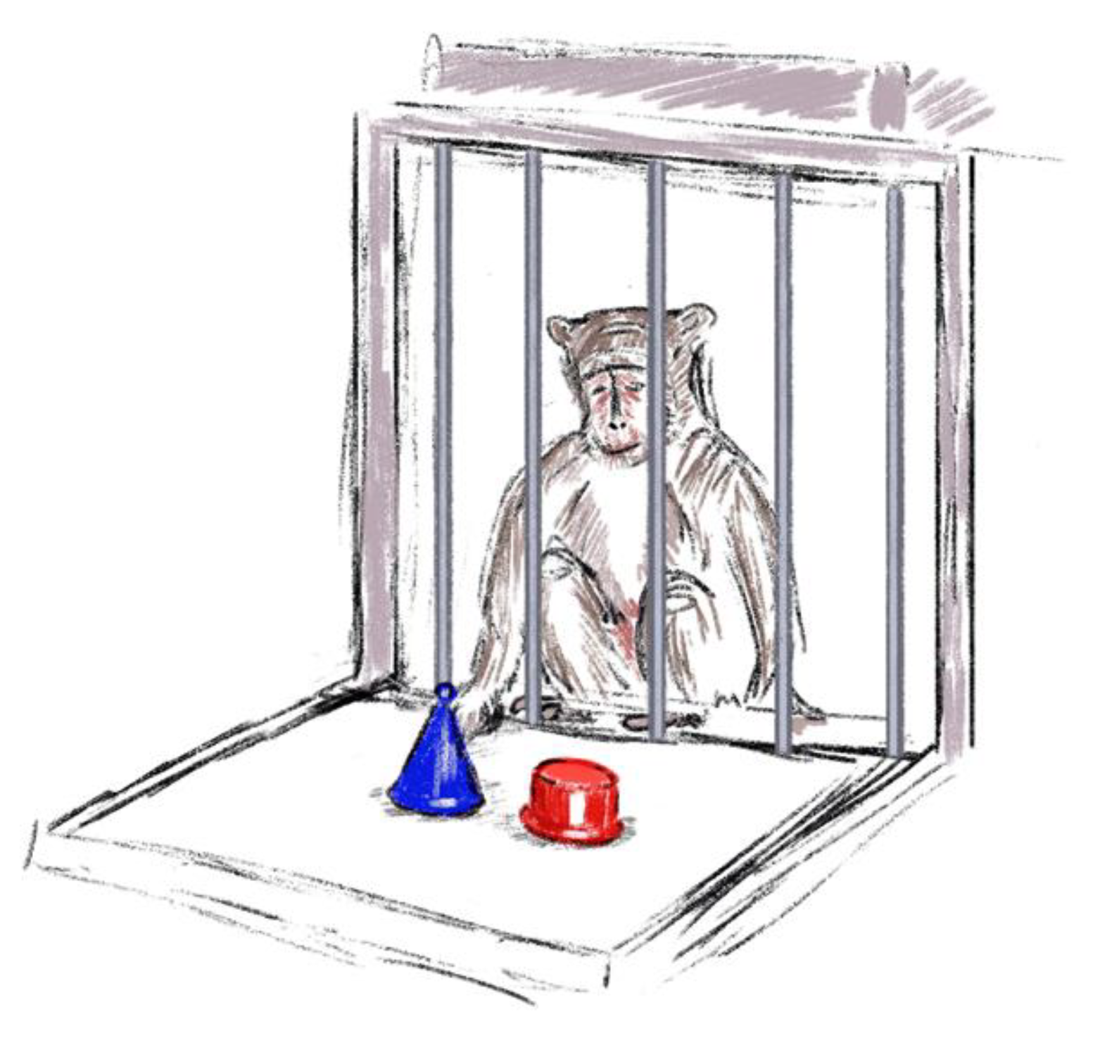 Brainsci 14 00635 g006