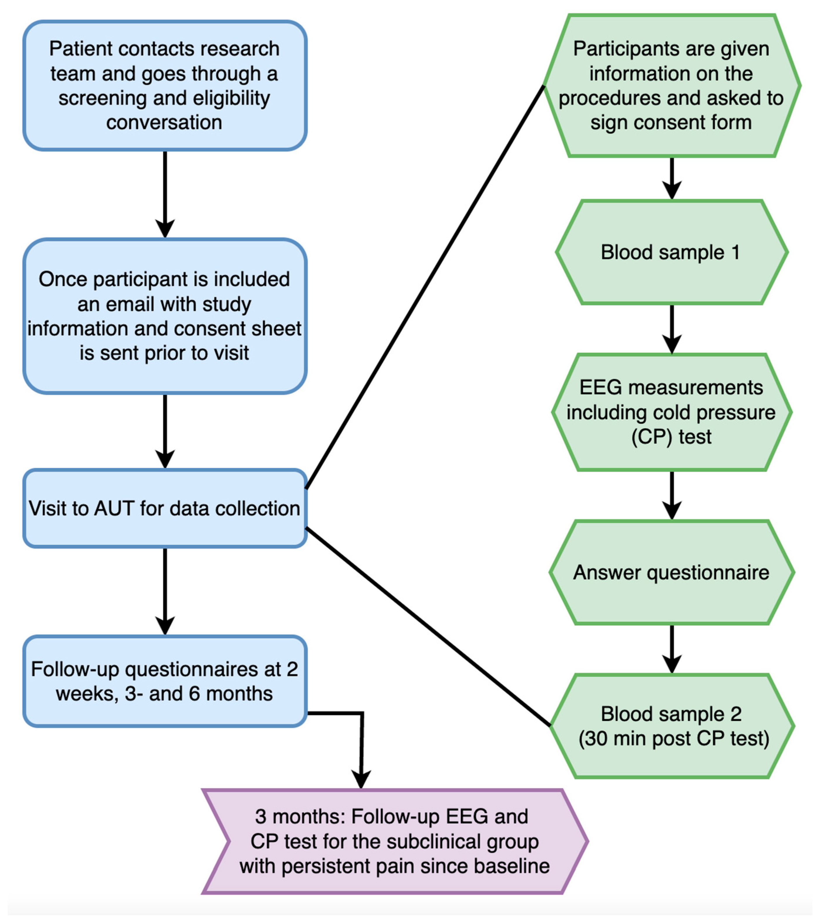 Brainsci 14 00641 g002