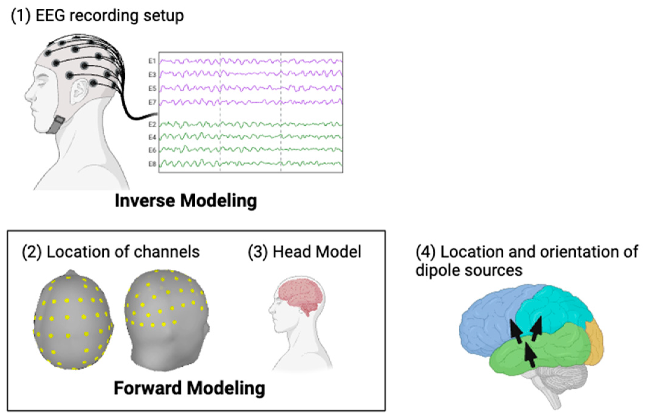 Brainsci 14 00641 g007
