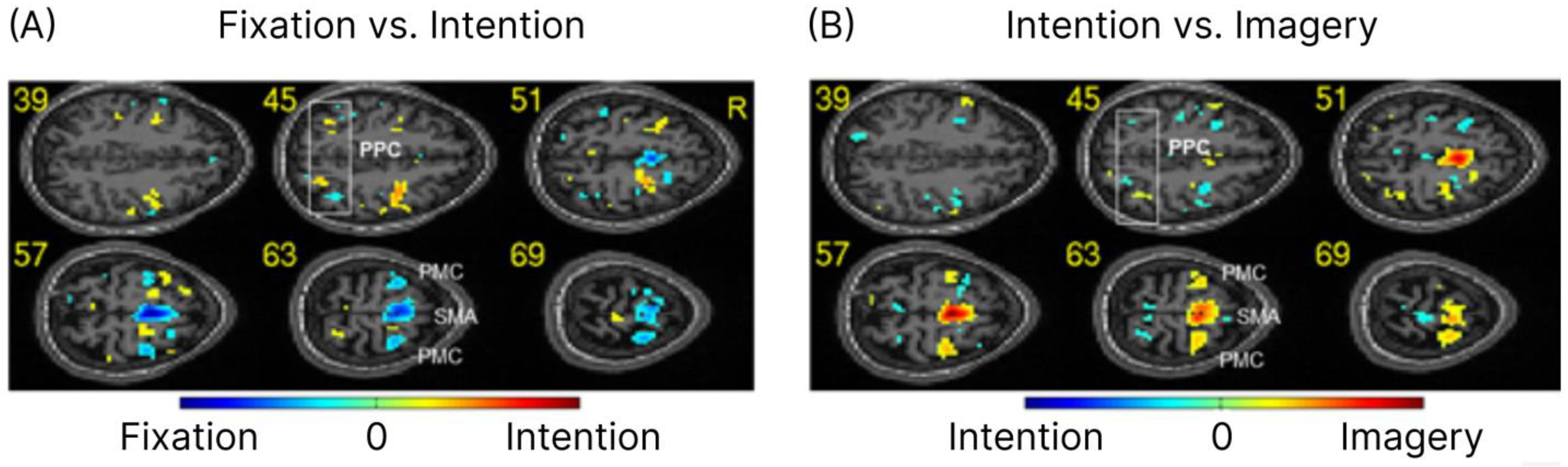 Brainsci 14 00643 g002