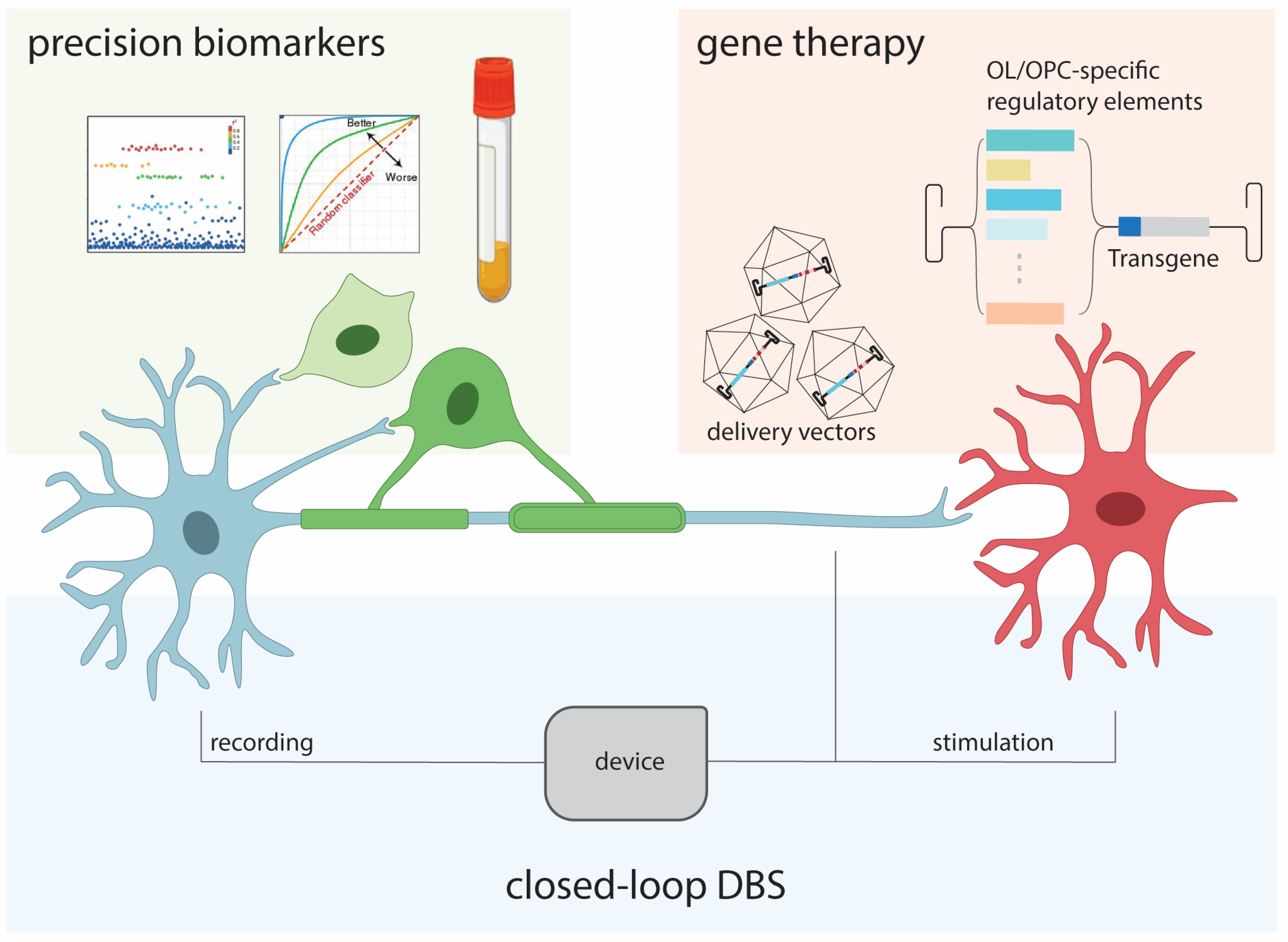Brainsci 14 00648 g002 Brainsci 14 00648 g002
