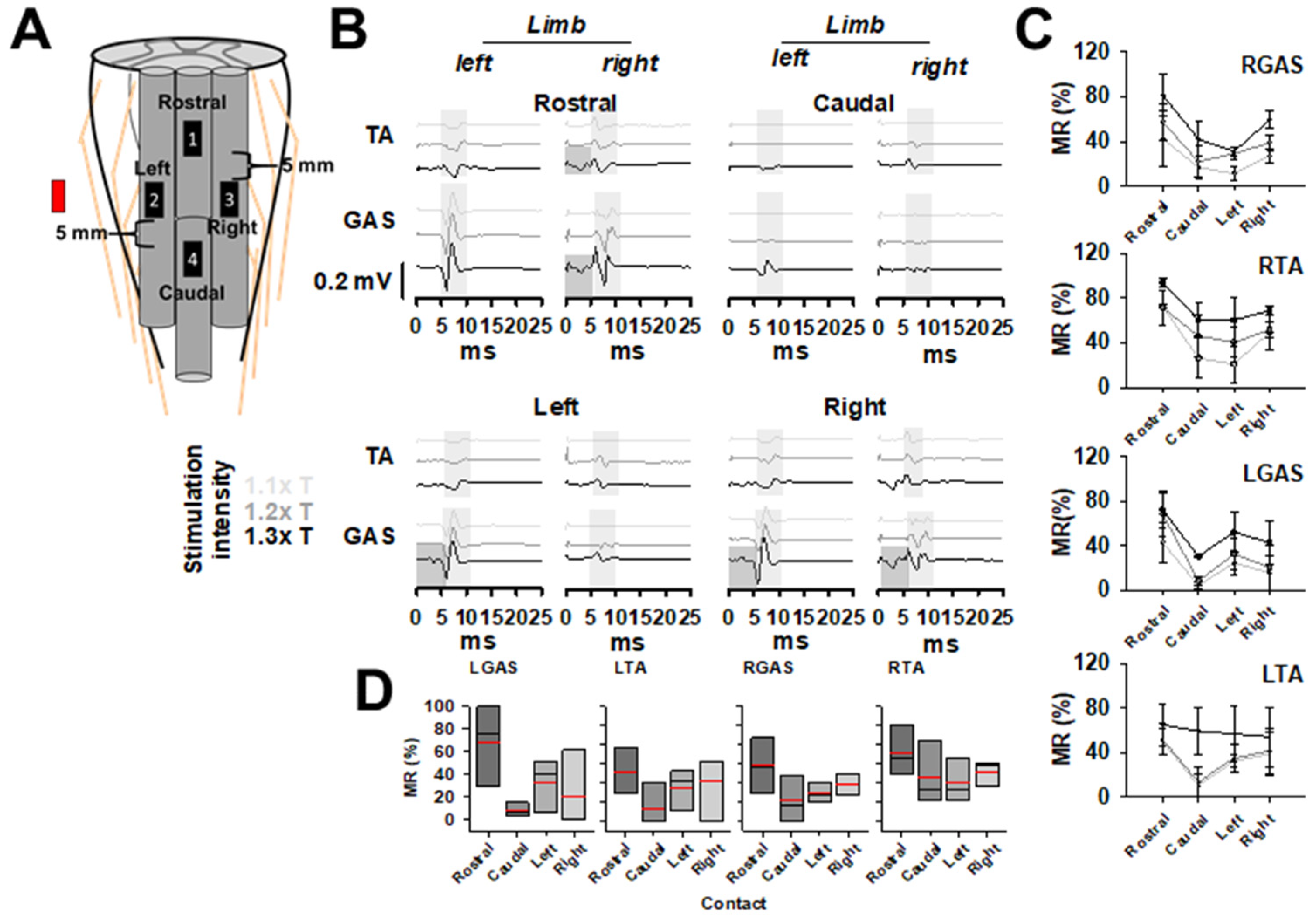 Brainsci 14 00650 g001