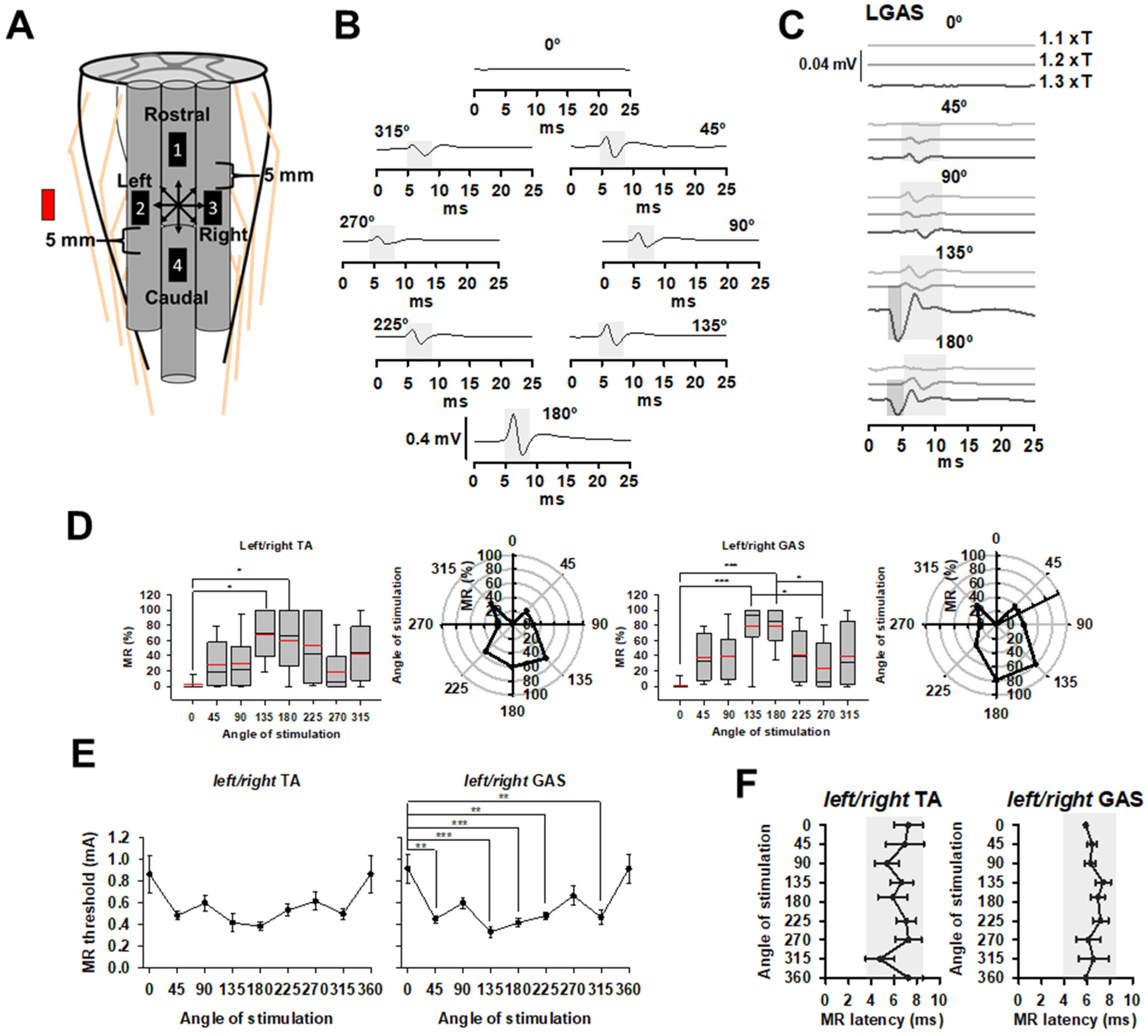 Brainsci 14 00650 g003