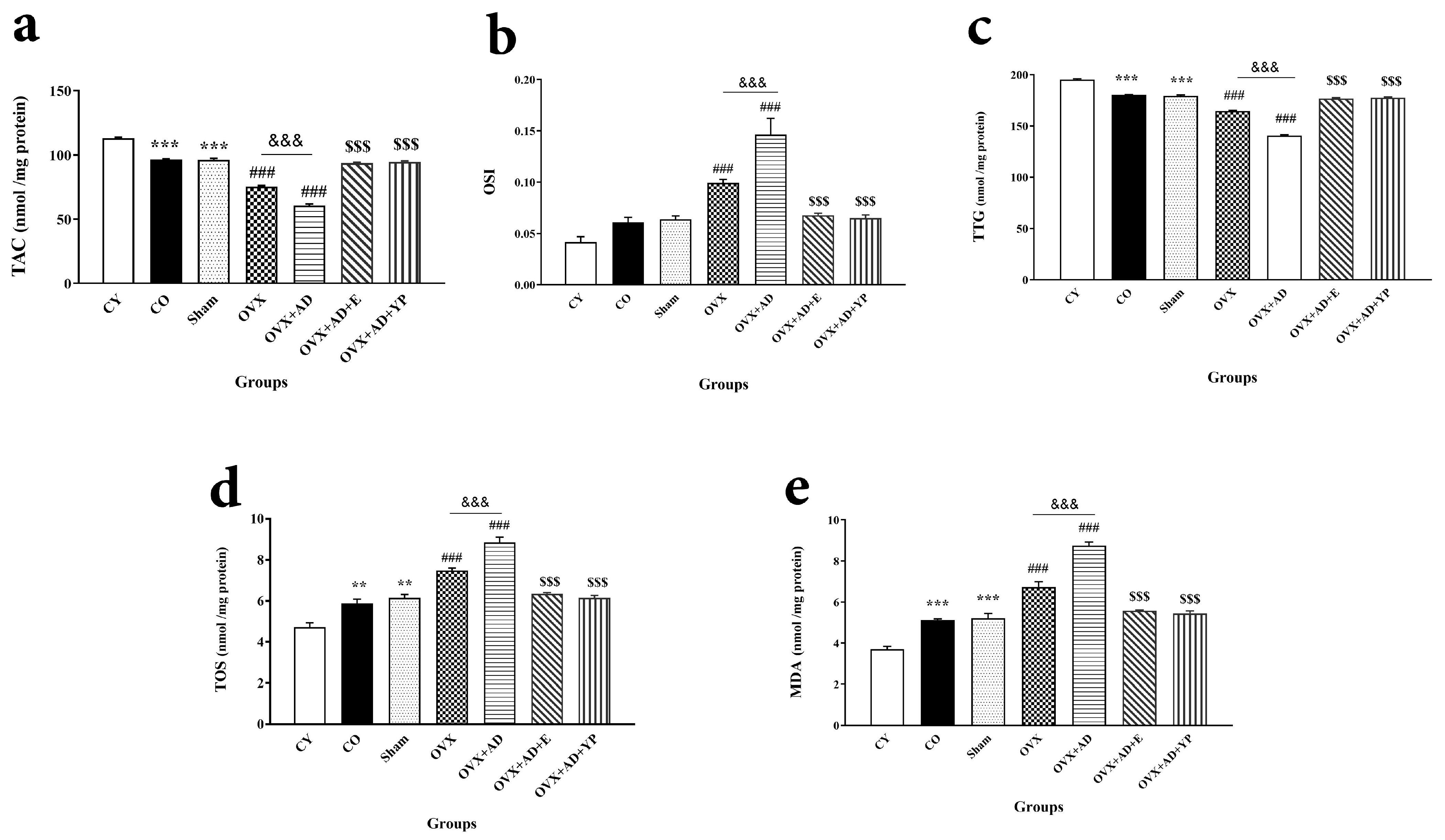 Brainsci 14 00656 g005