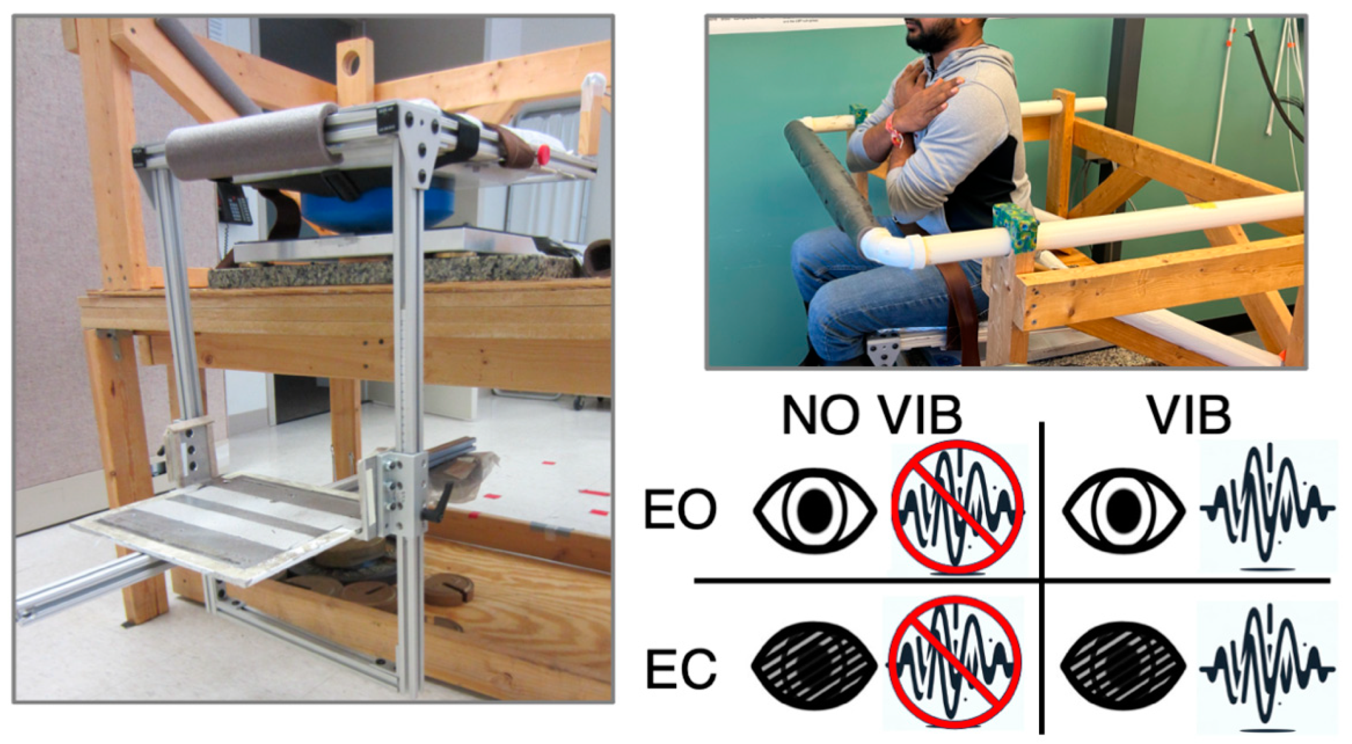 Brainsci 14 00657 g002
