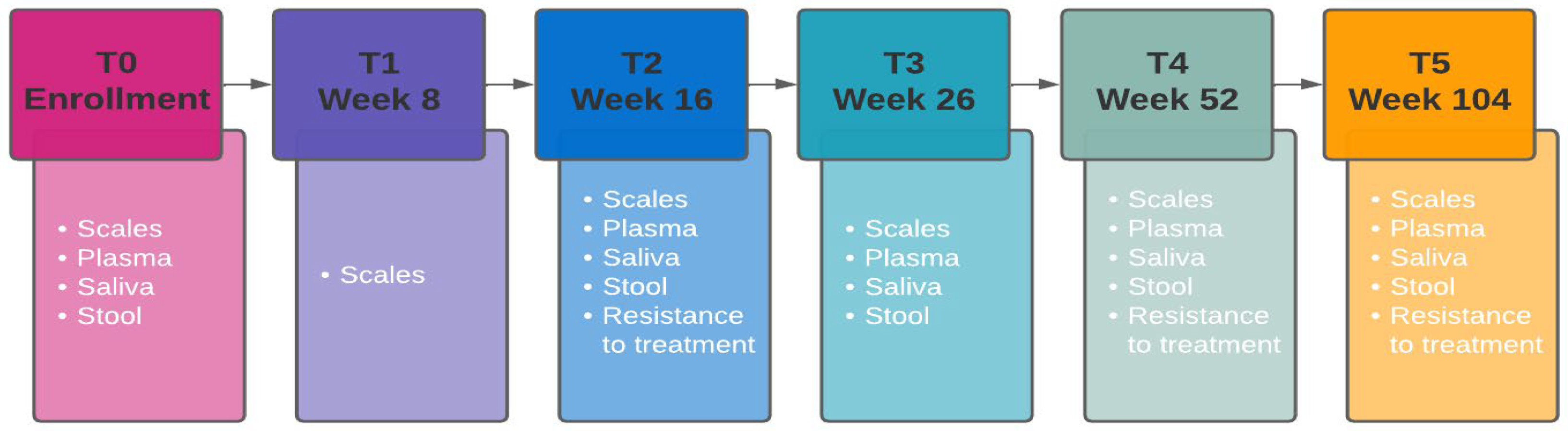 Brainsci 14 00658 g001