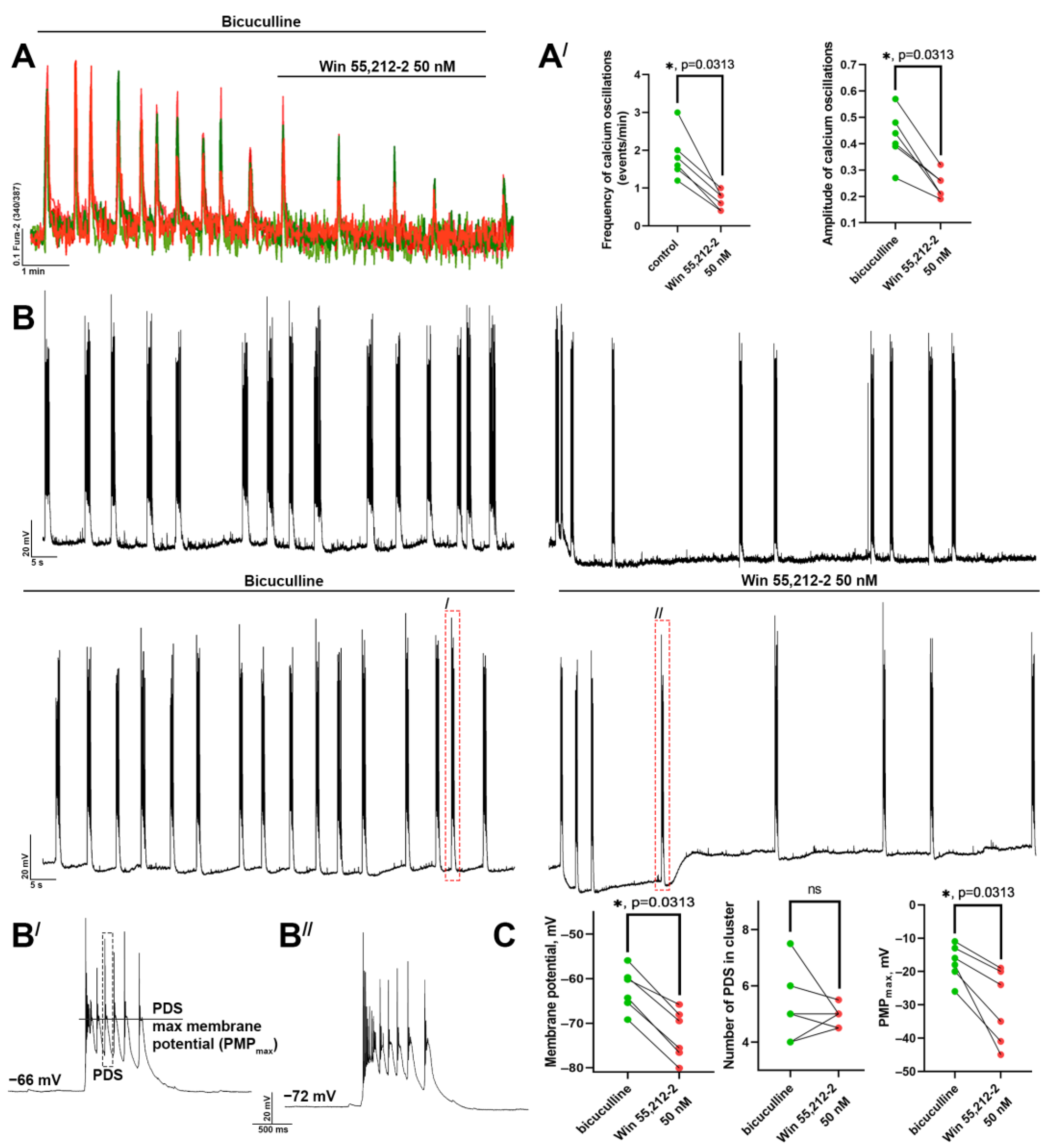 Brainsci 14 00668 g002