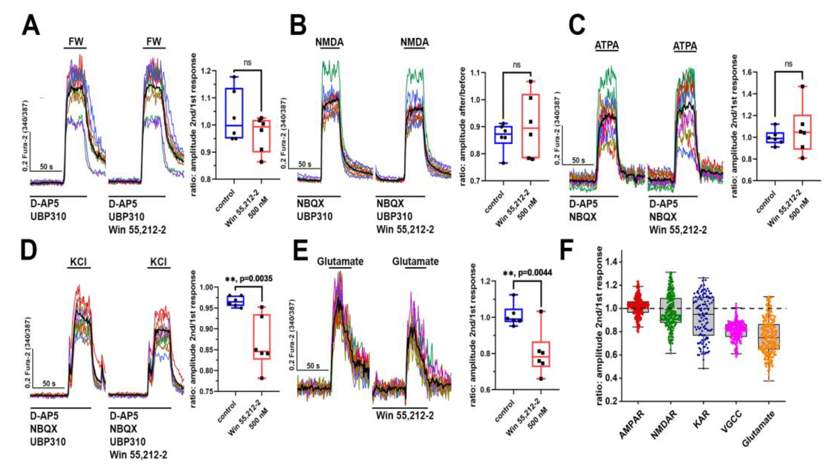 Brainsci 14 00668 g003