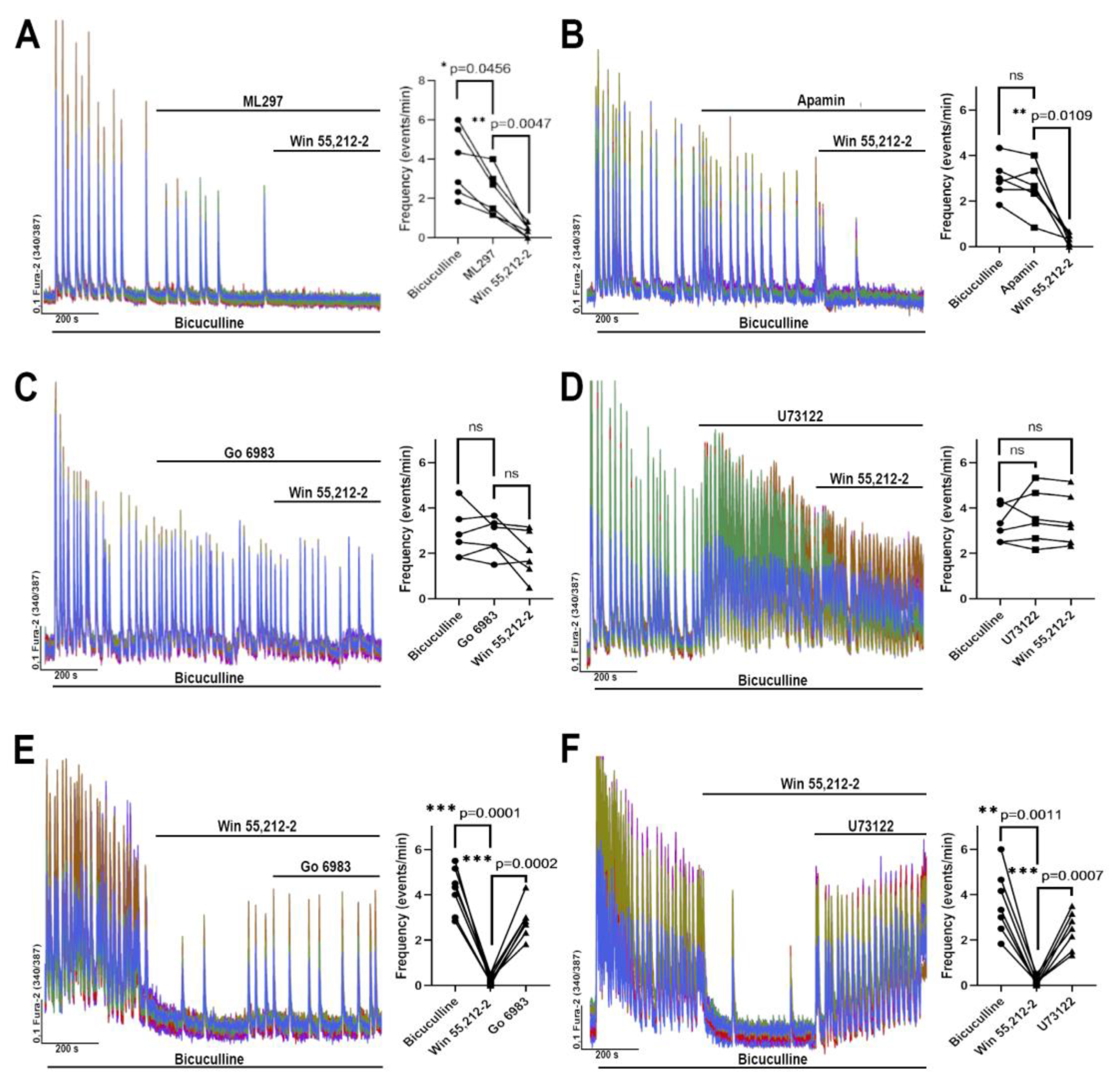 Brainsci 14 00668 g004