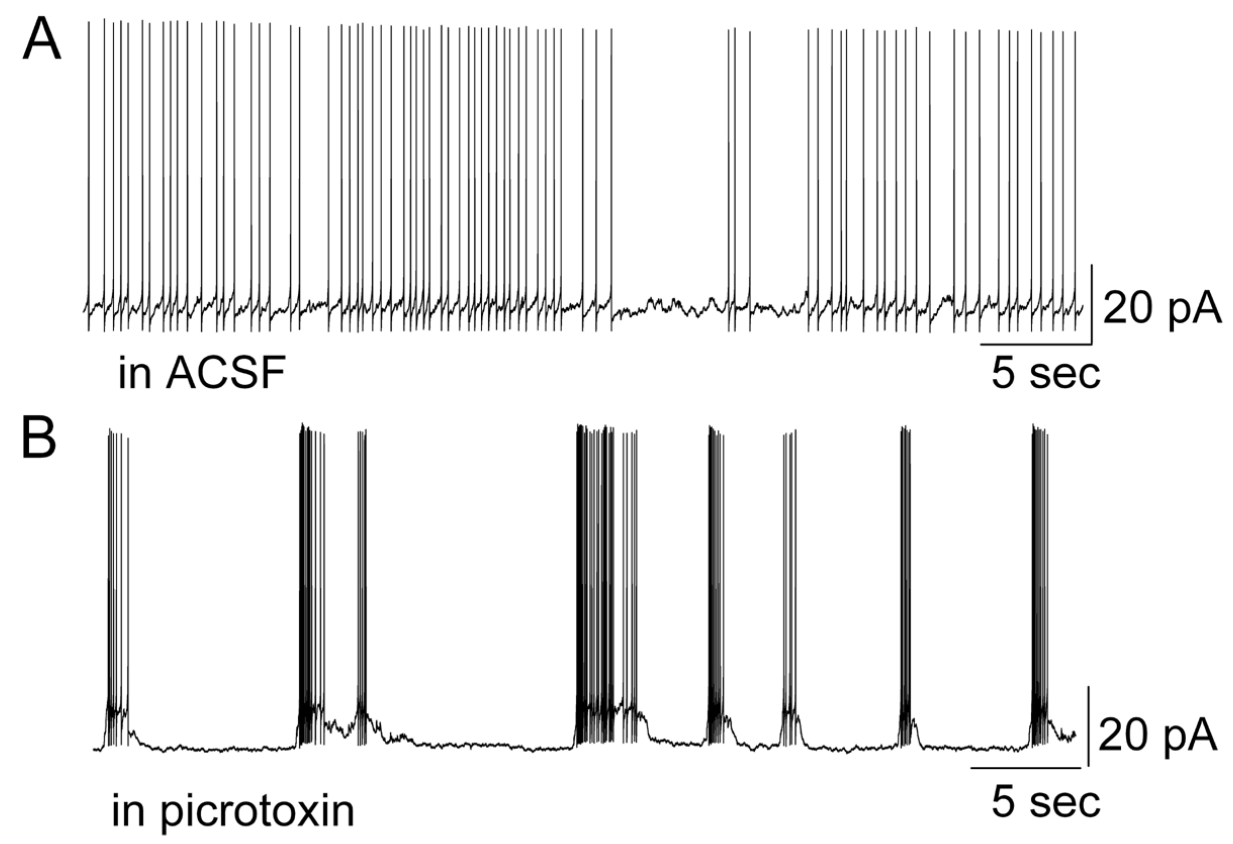 Brainsci 14 00678 g002
