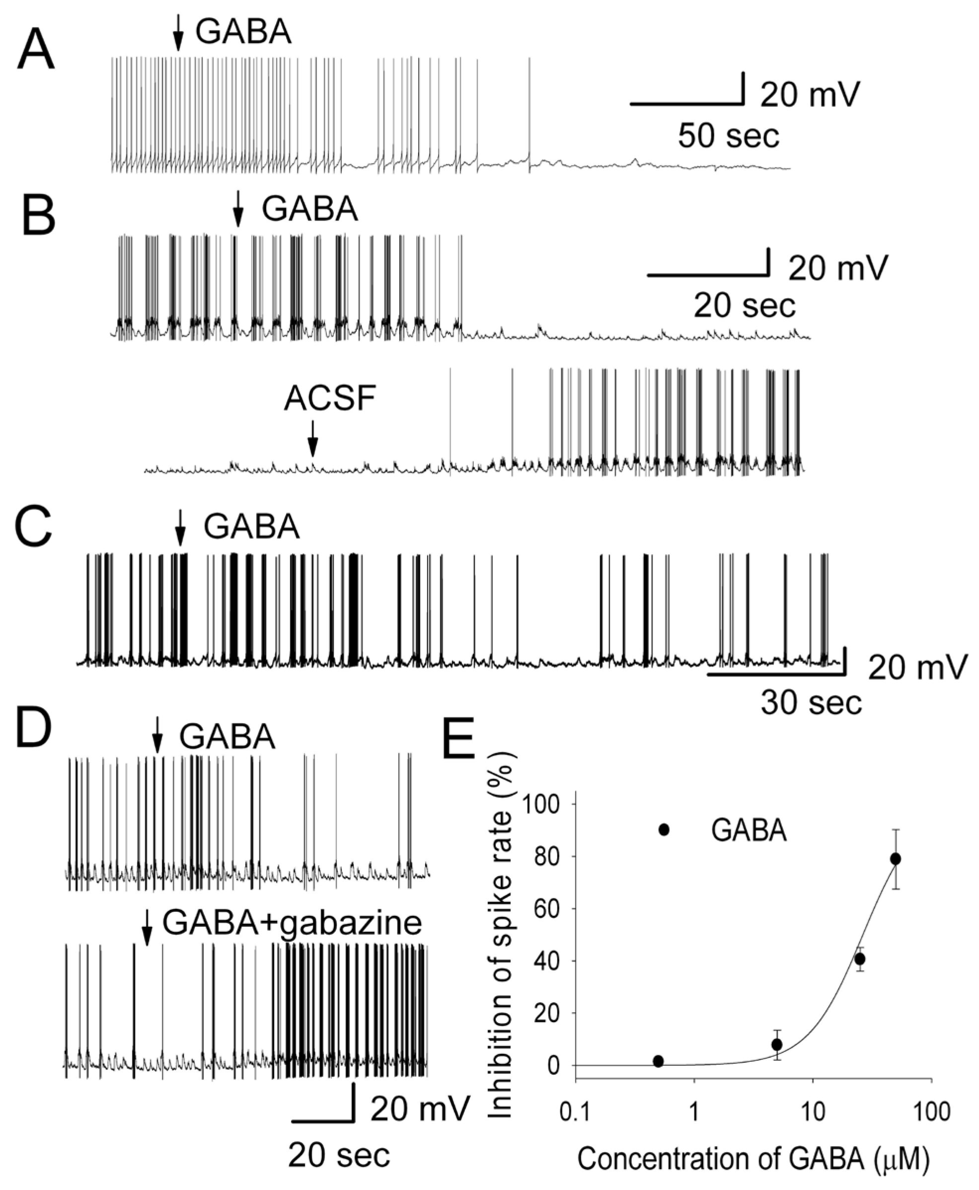 Brainsci 14 00678 g005