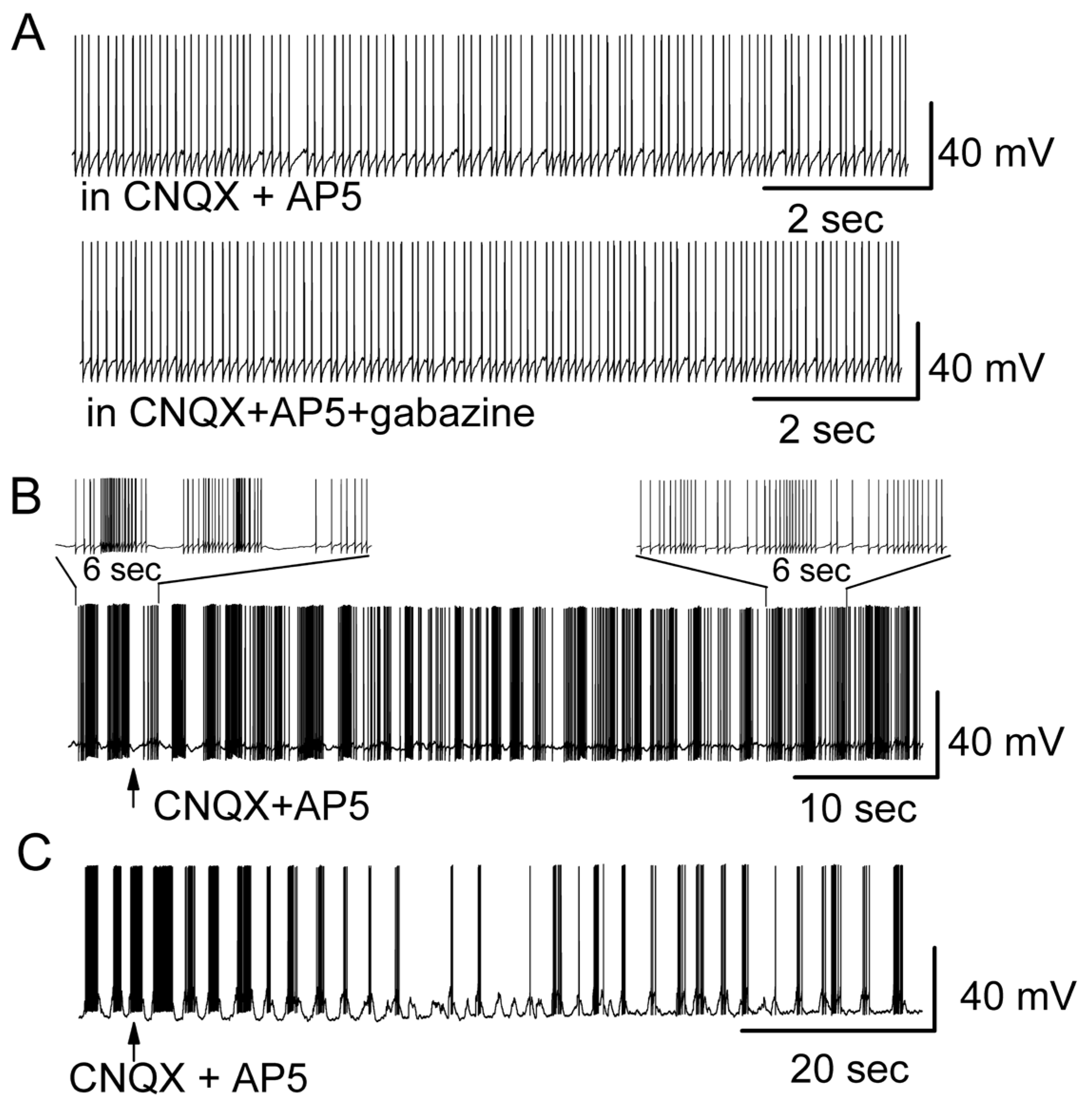 Brainsci 14 00678 g006