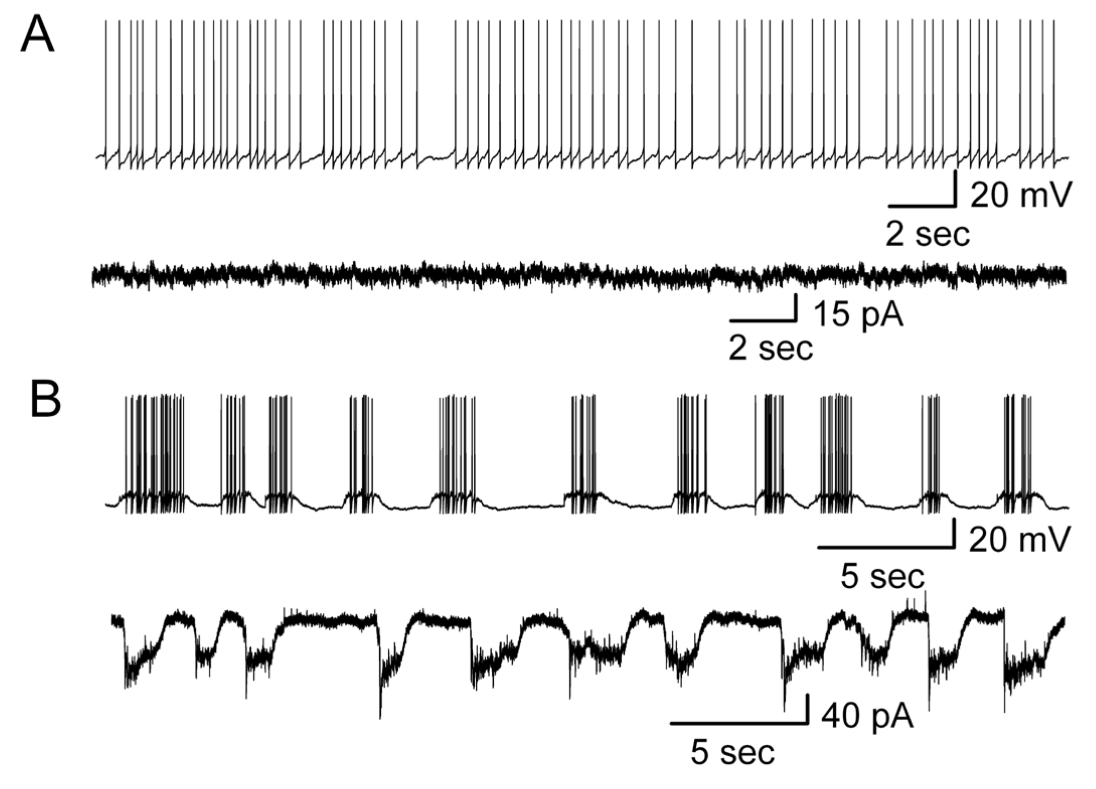 Brainsci 14 00678 g007
