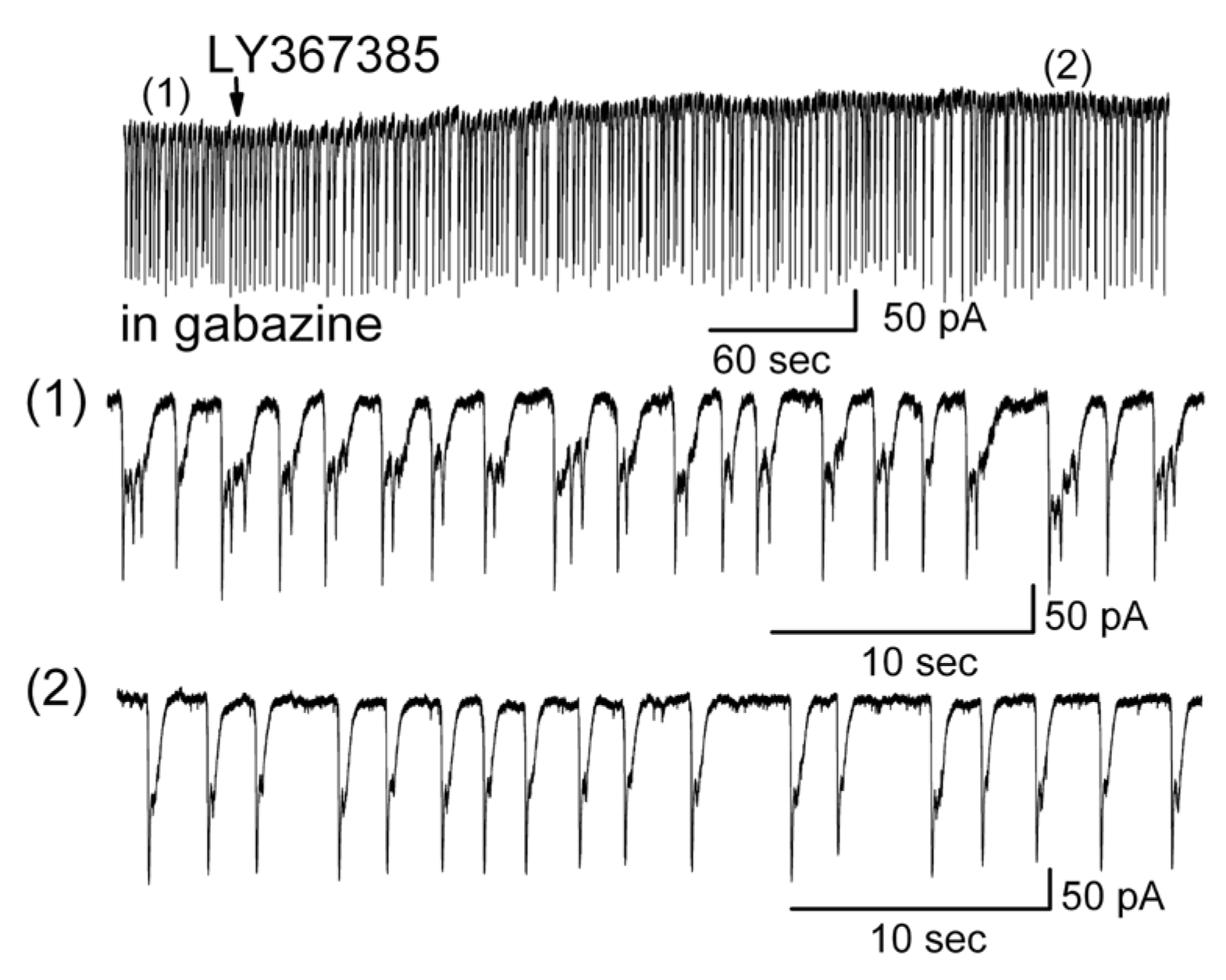 Brainsci 14 00678 g010