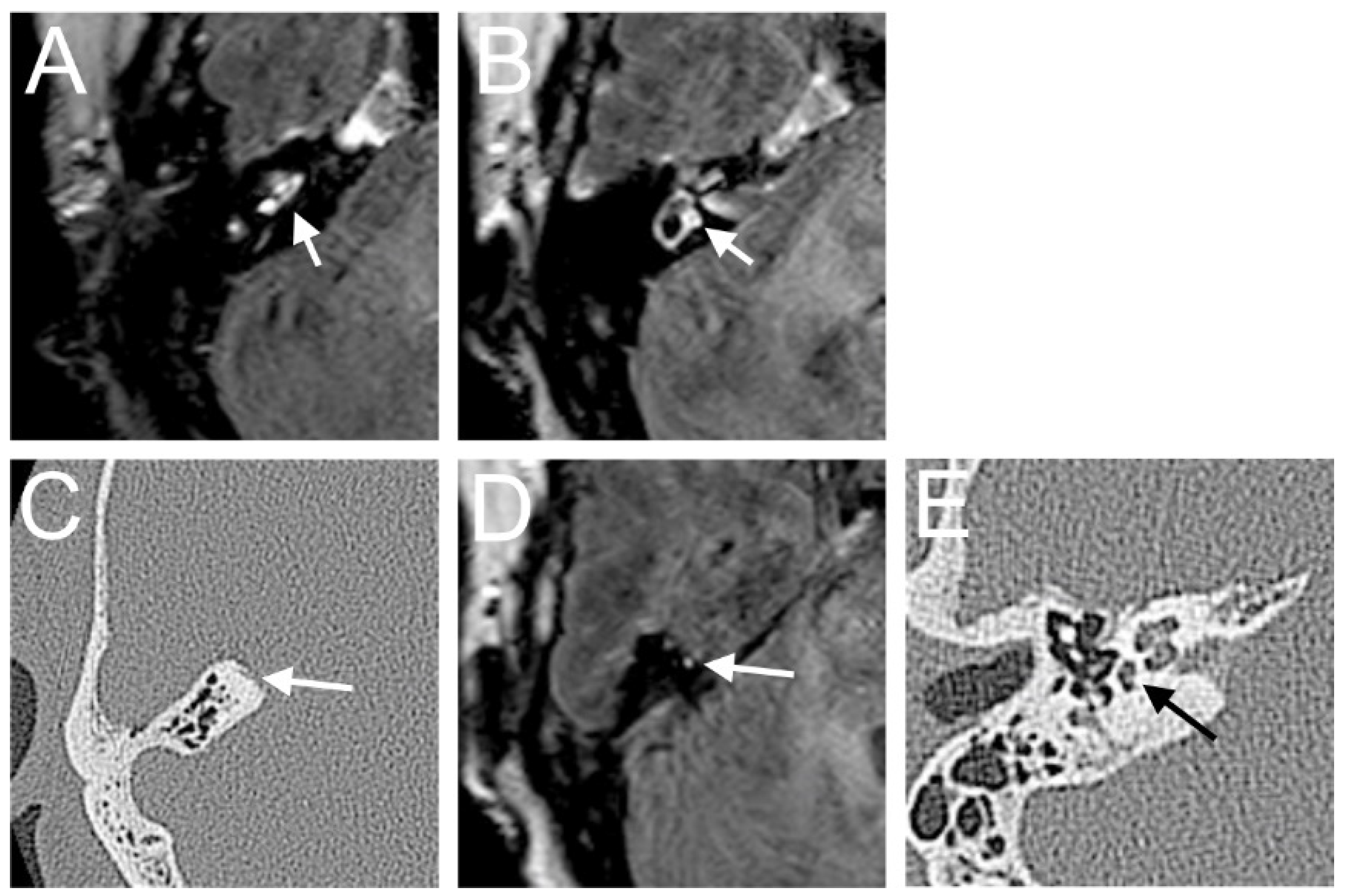 Brainsci 14 00681 g005