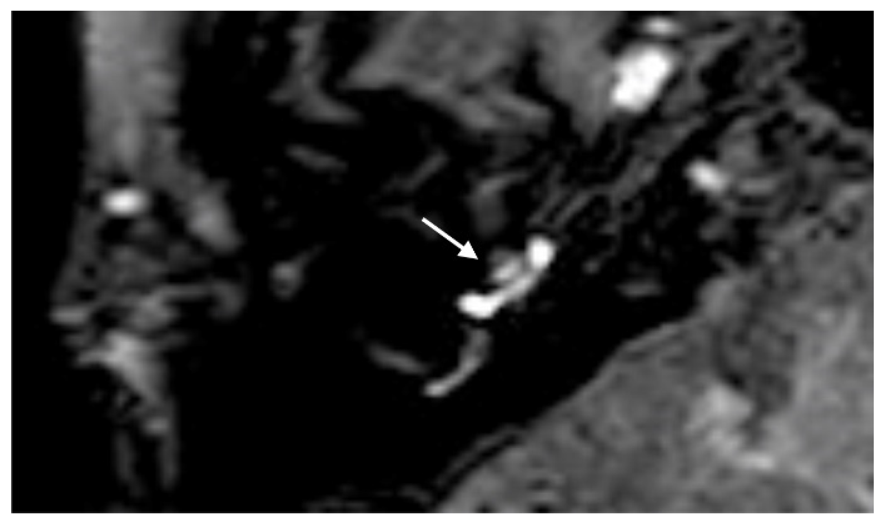 Brainsci 14 00681 g006