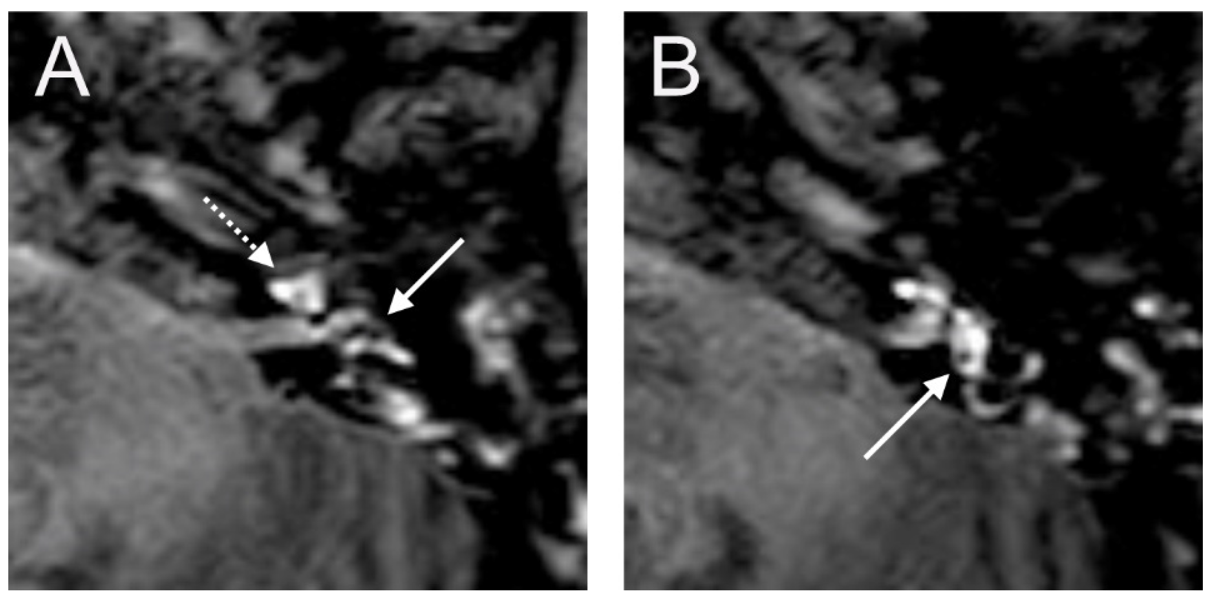 Brainsci 14 00681 g008