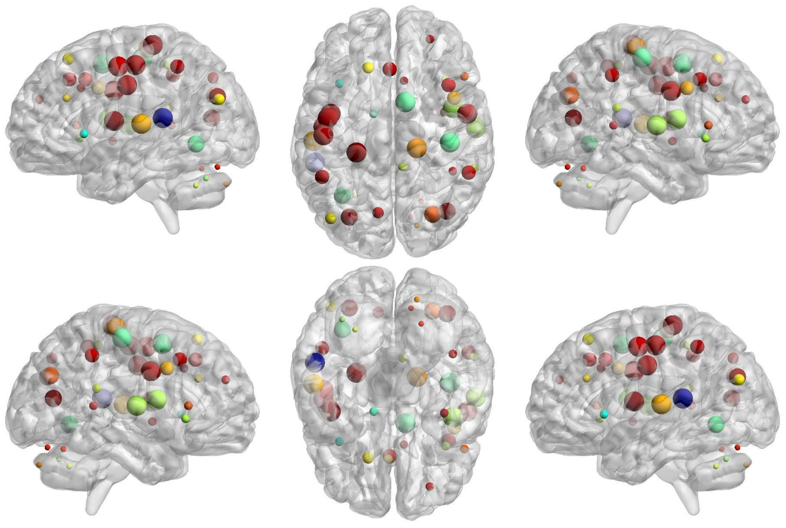 Brainsci 14 00685 g007