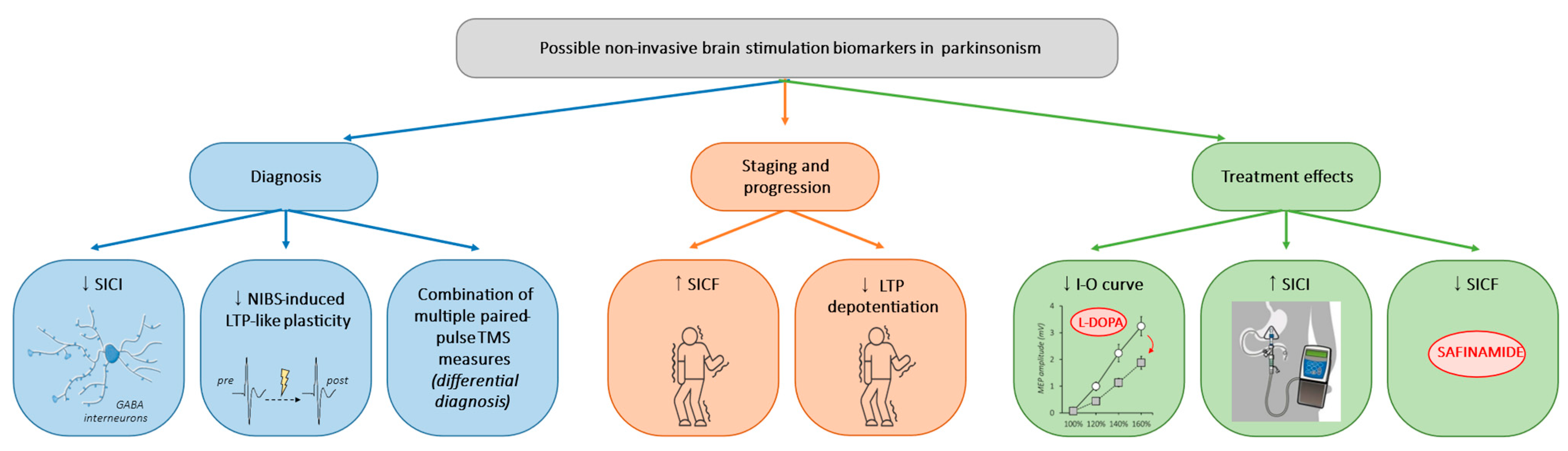 Brainsci 14 00695 g001