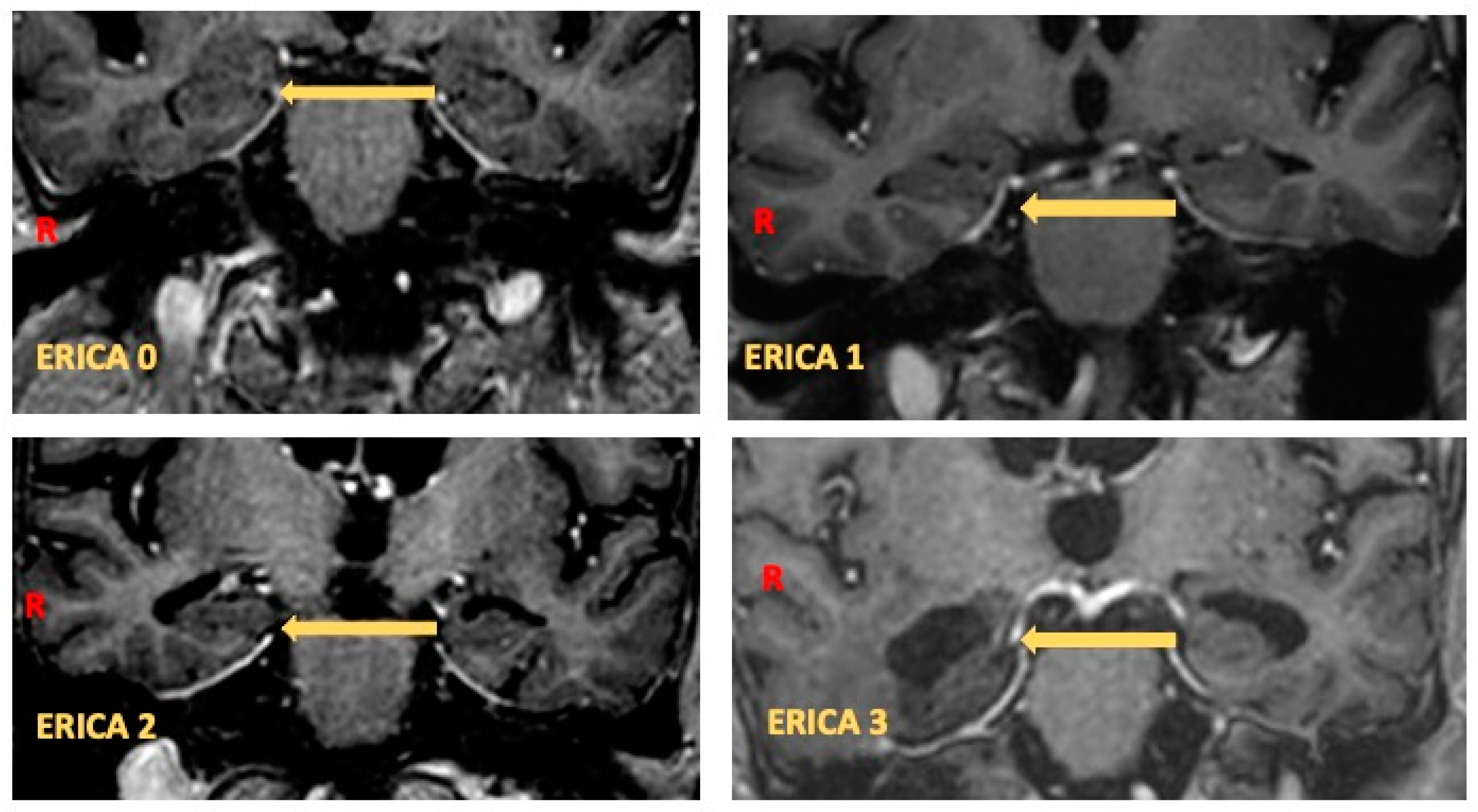 Brainsci 14 00697 g001