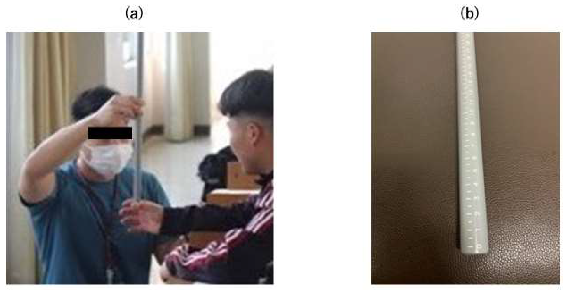 Brainsci 14 00698 g001