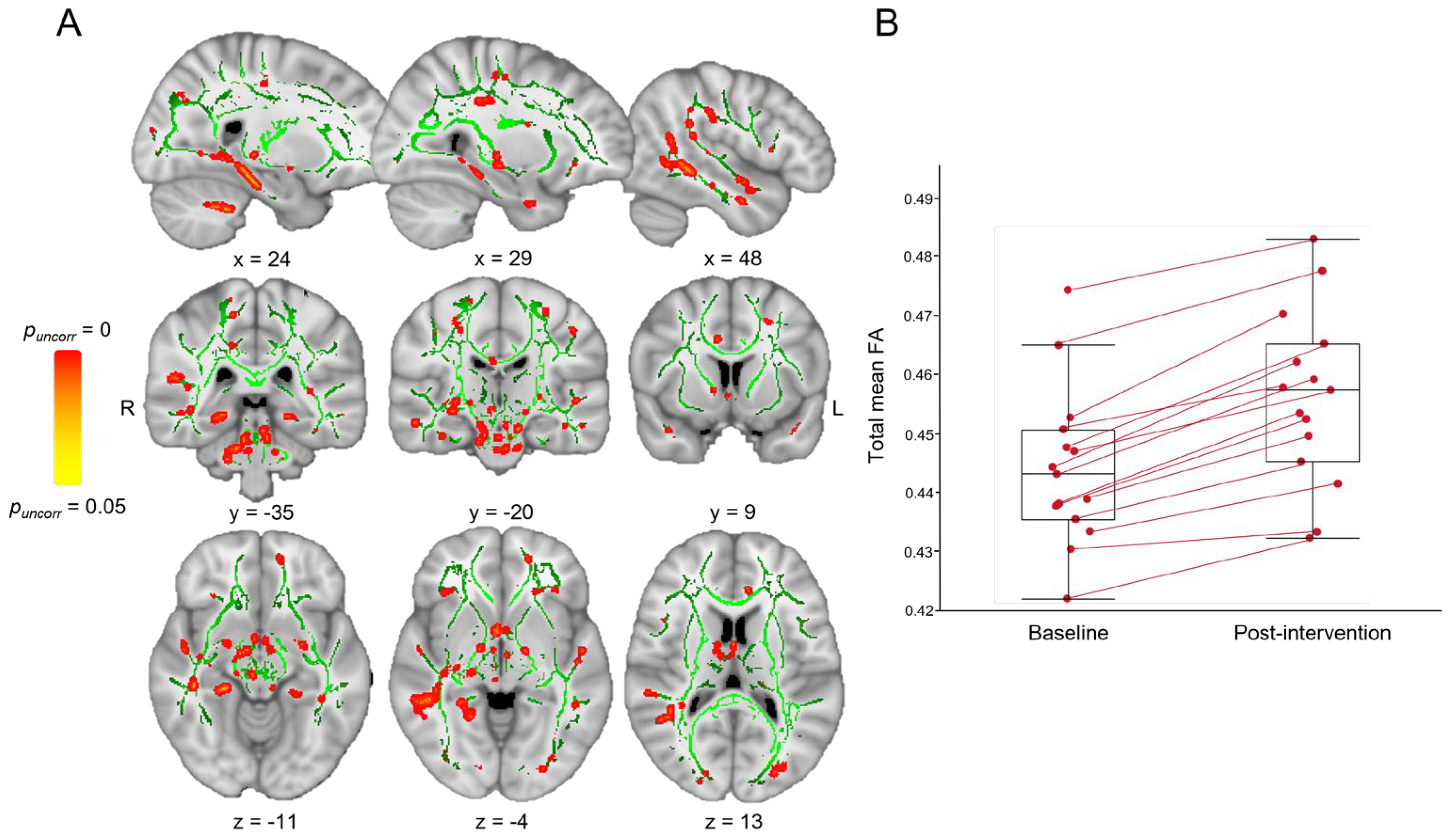 Brainsci 14 00710 g003 Brainsci 14 00710 g003