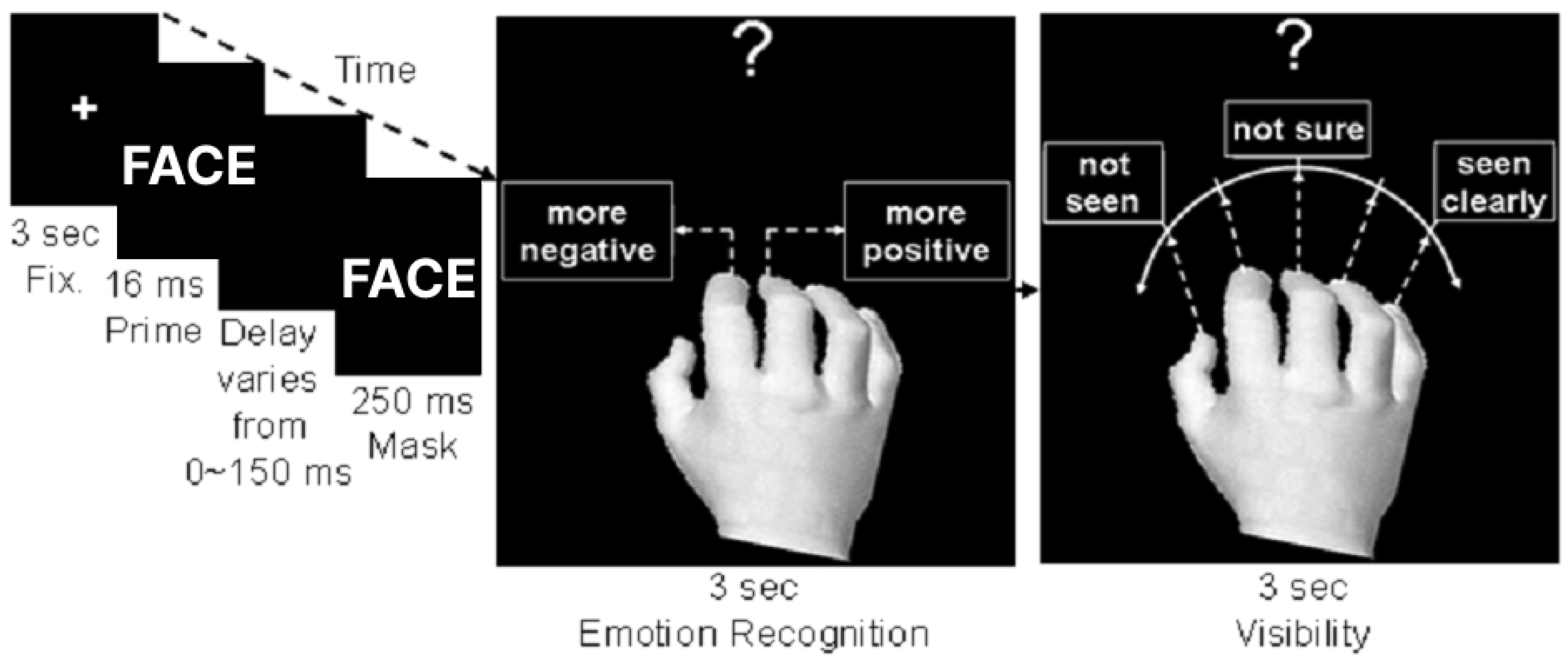 Brainsci 14 00713 g001