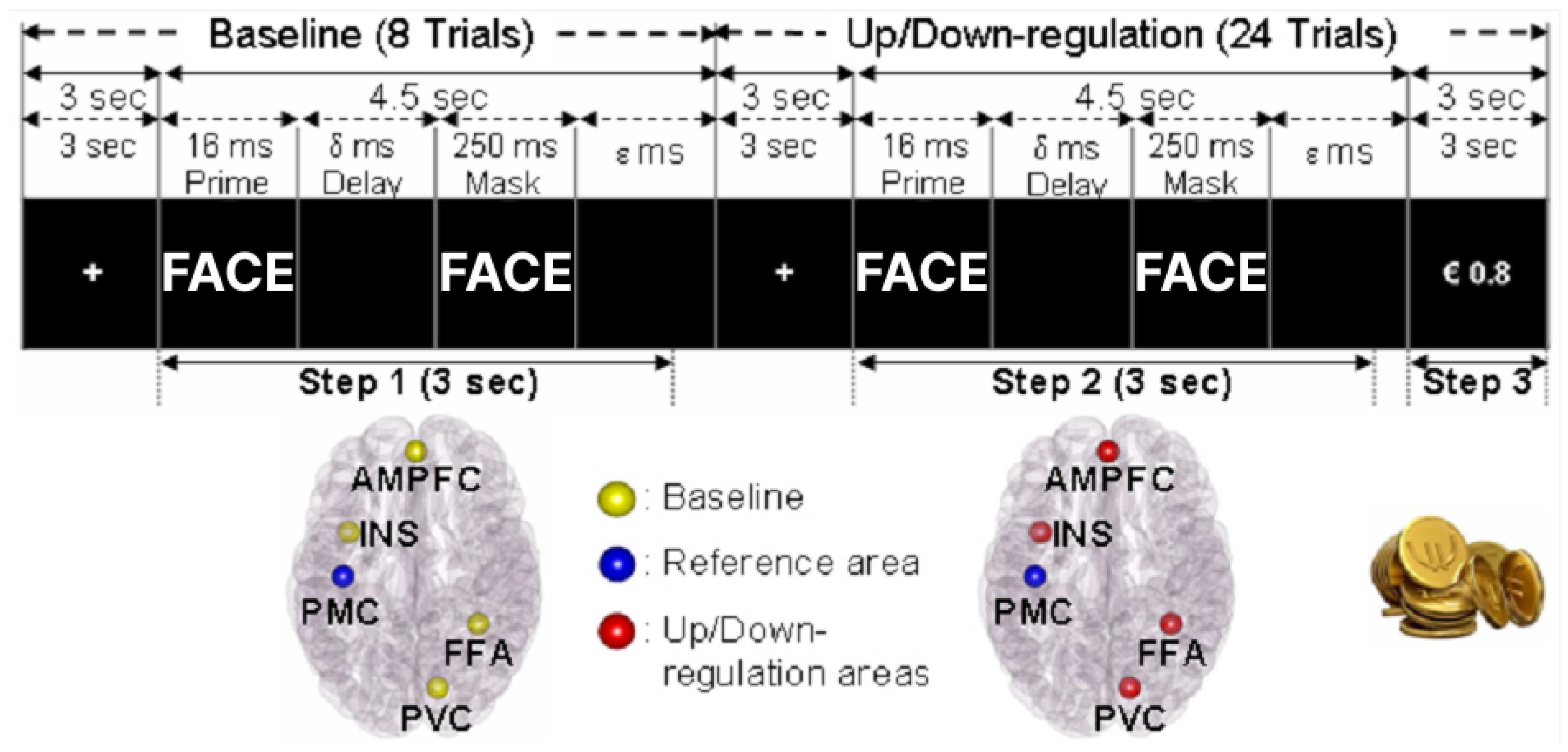 Brainsci 14 00713 g002