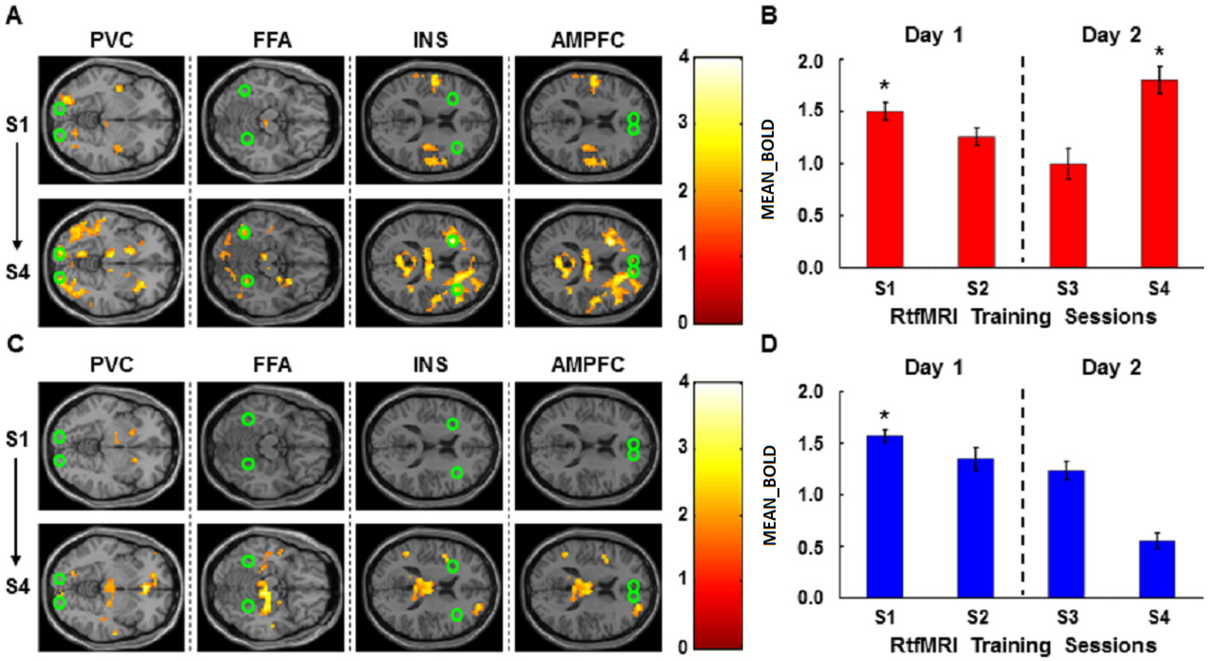Brainsci 14 00713 g003