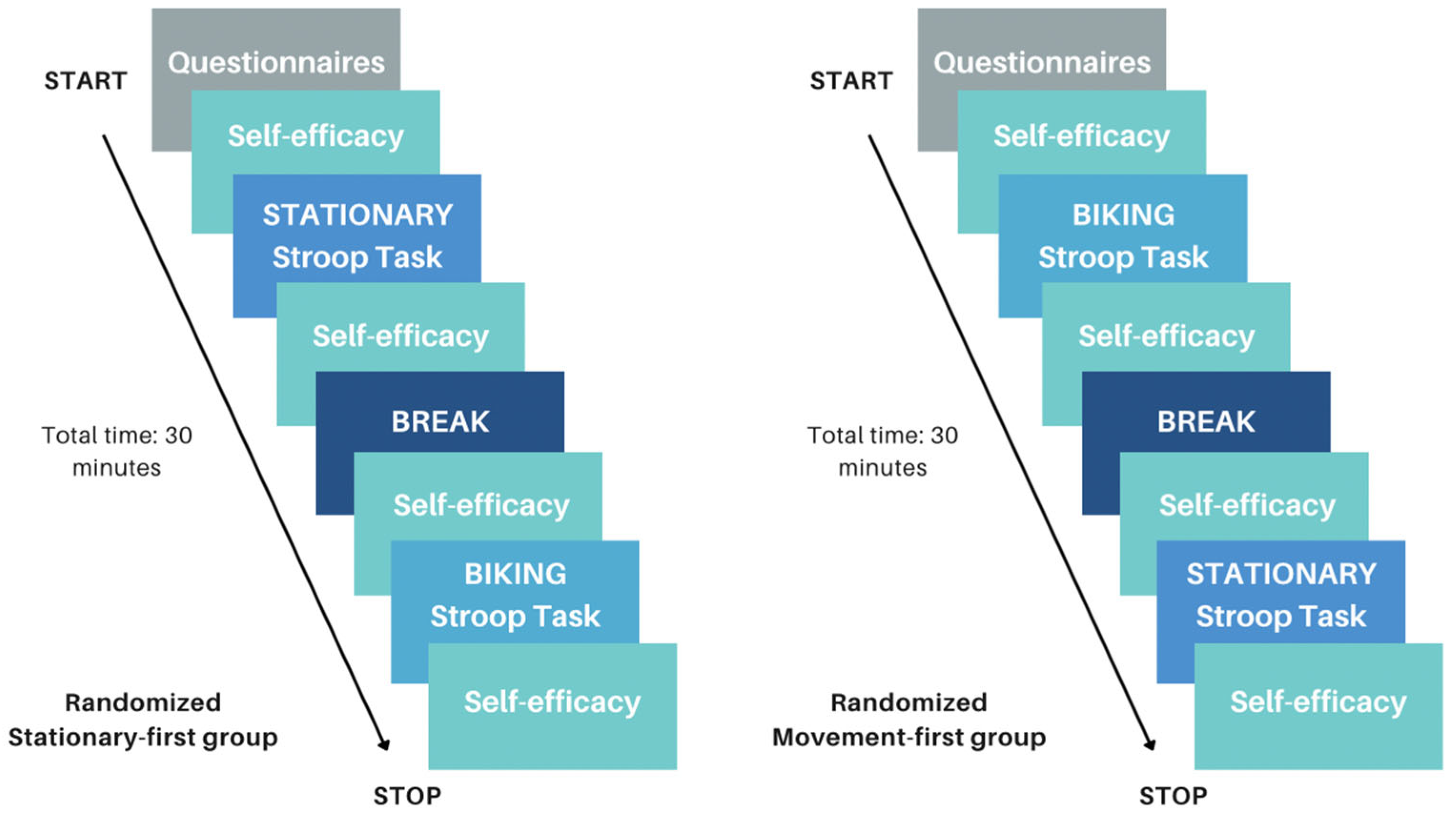 Brainsci 14 00719 g002