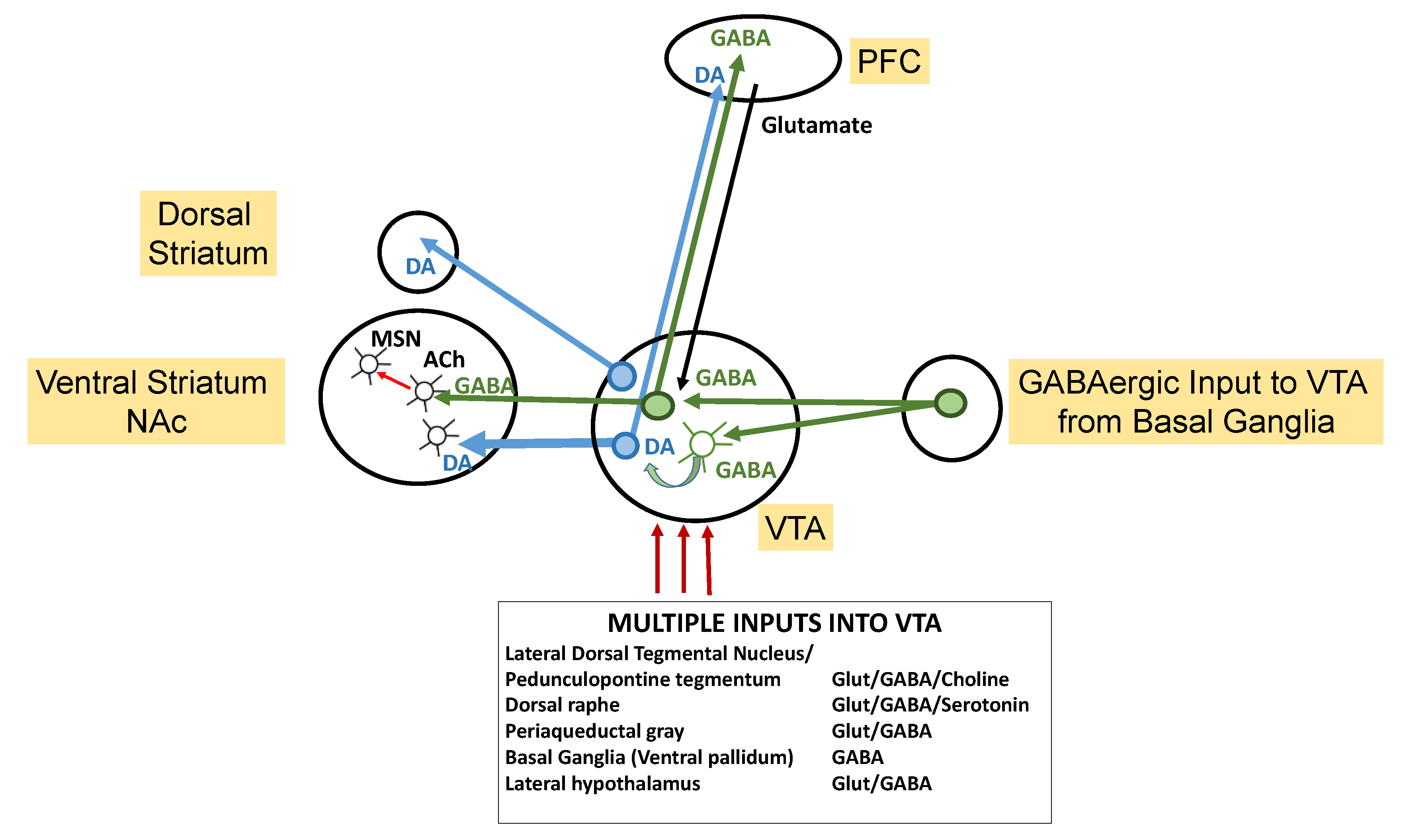 Brainsci 14 00733 g005 Brainsci 14 00733 g005