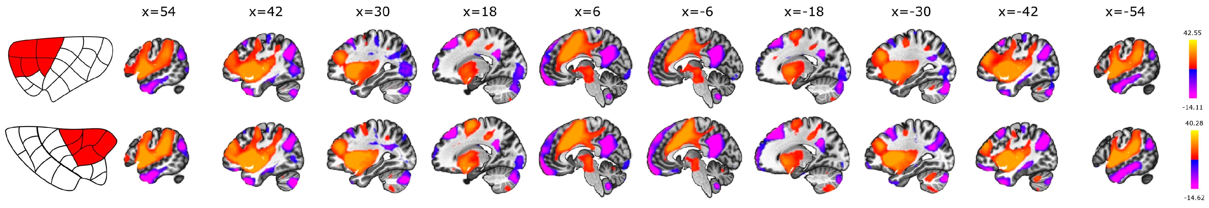 Brainsci 14 00742 g003