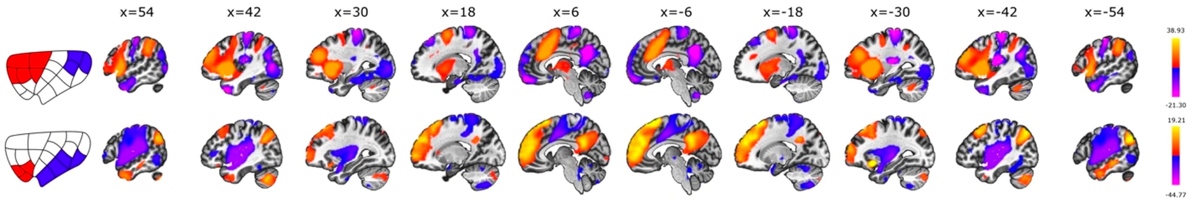 Brainsci 14 00742 g009