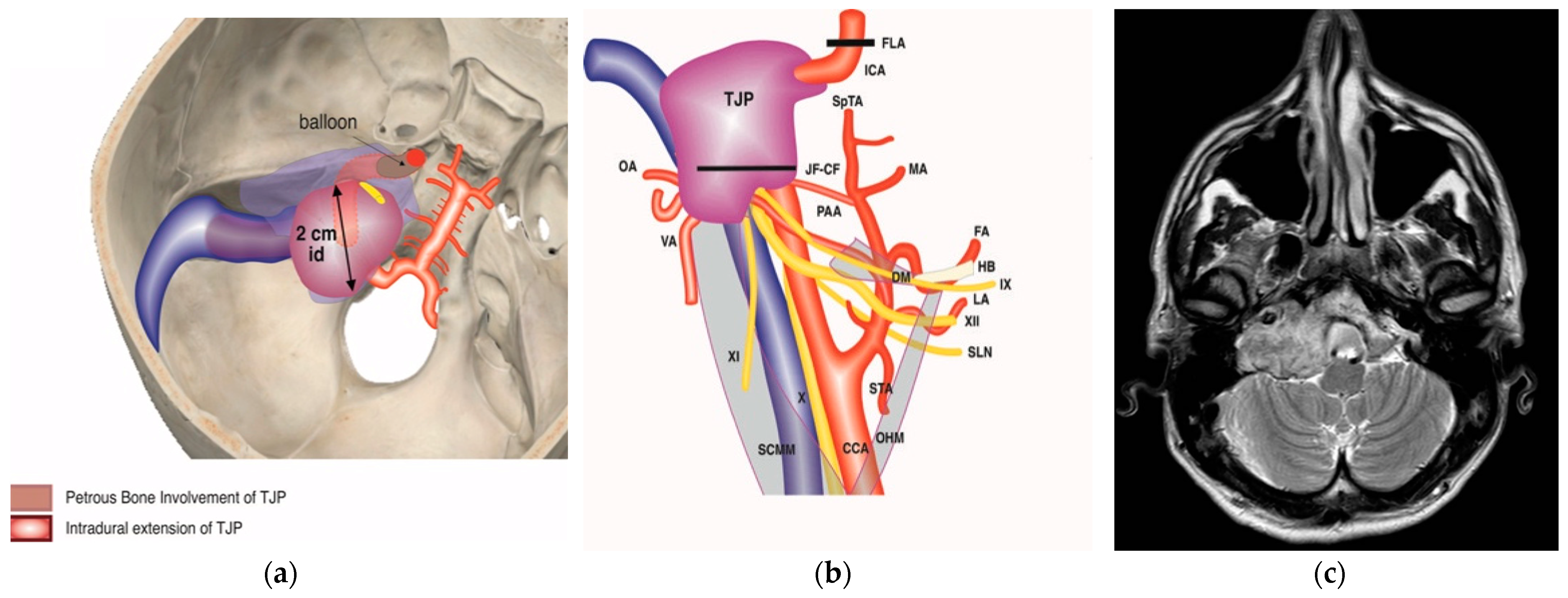 Brainsci 14 00745 g004a