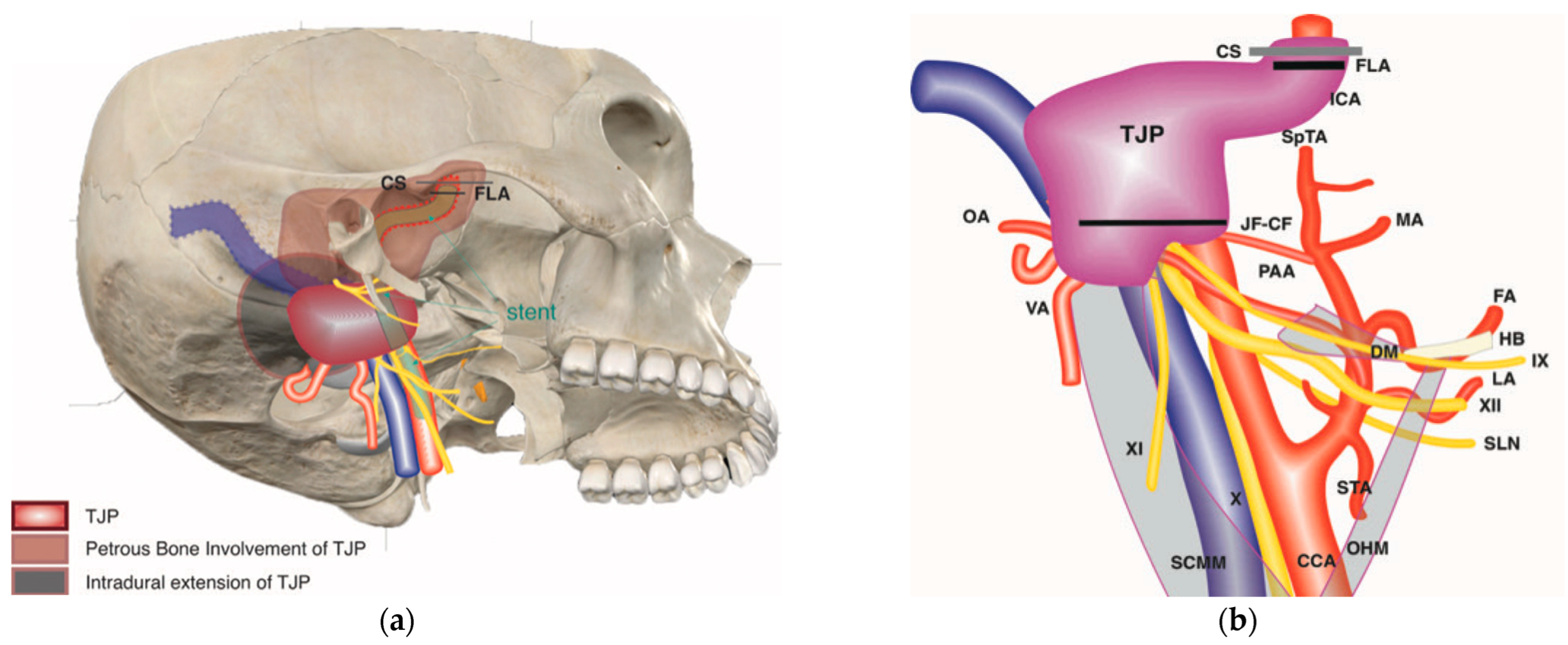 Brainsci 14 00745 g005a