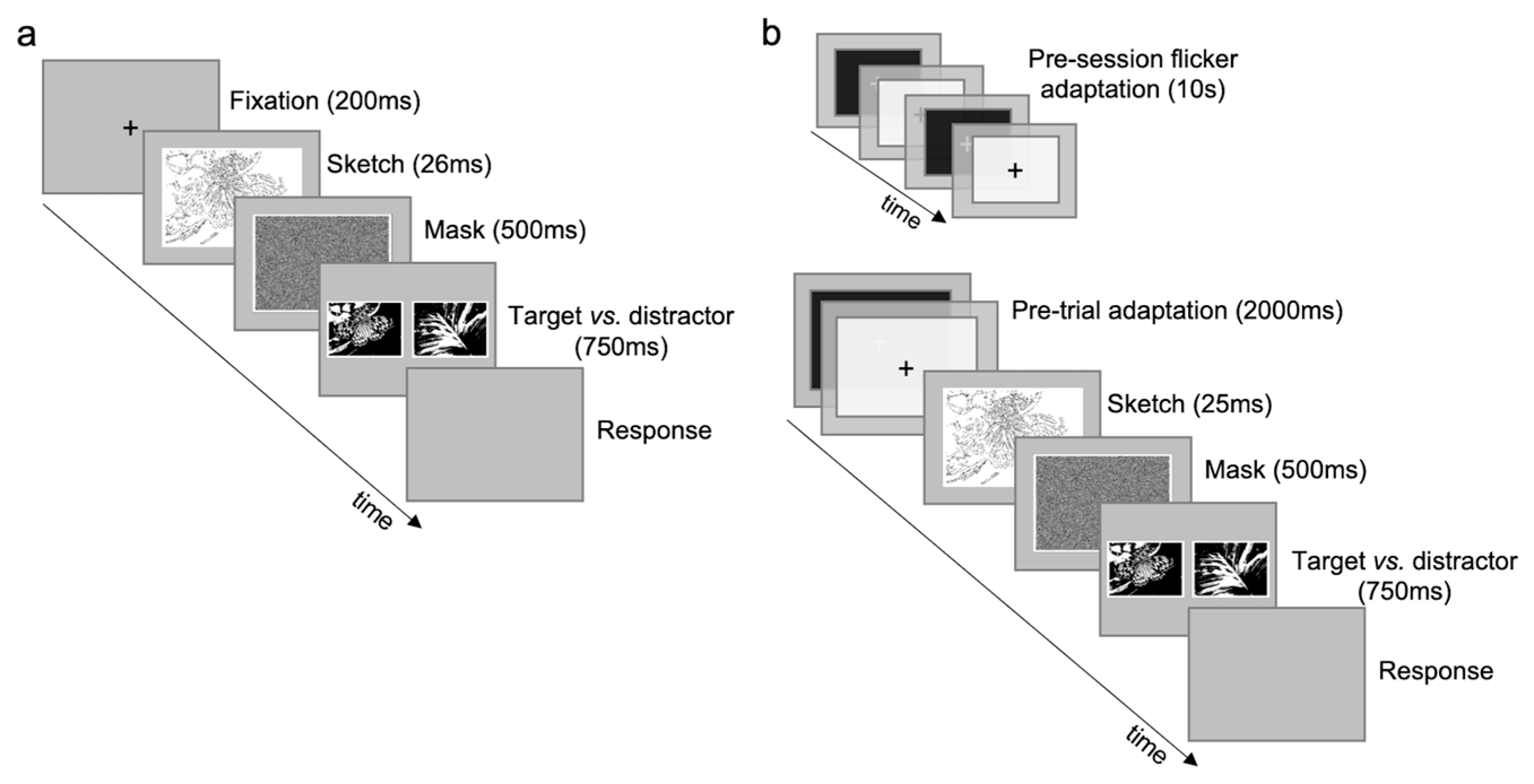 Brainsci 14 00753 g001