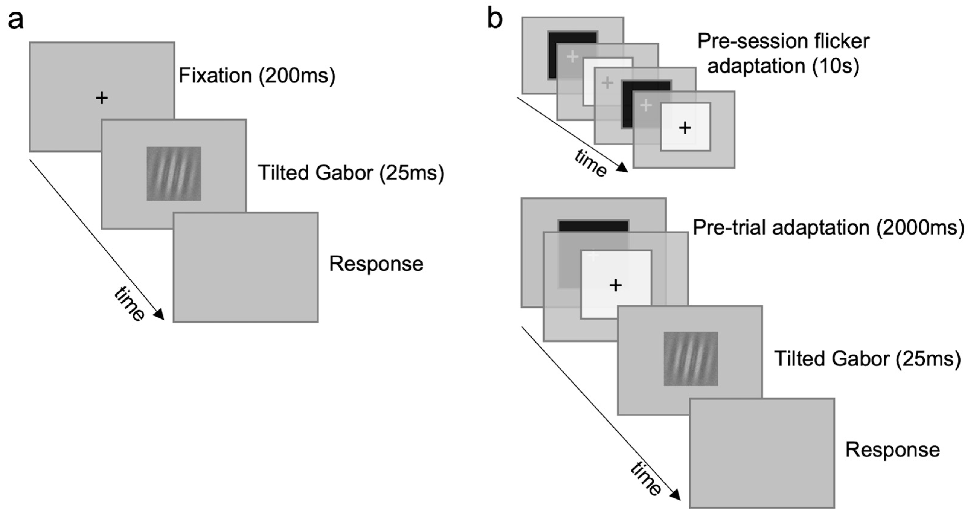 Brainsci 14 00753 g003