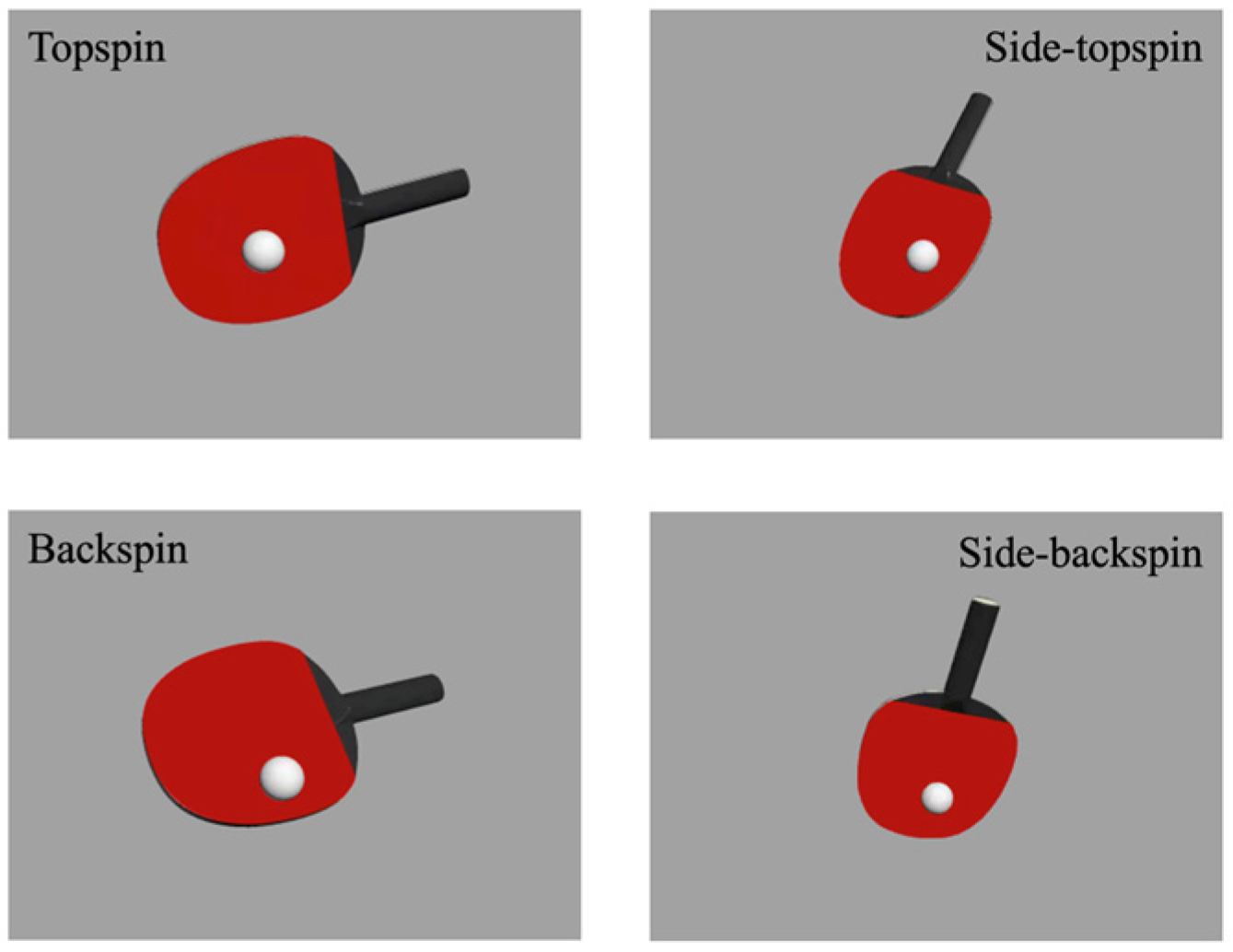 Brainsci 14 00756 g001