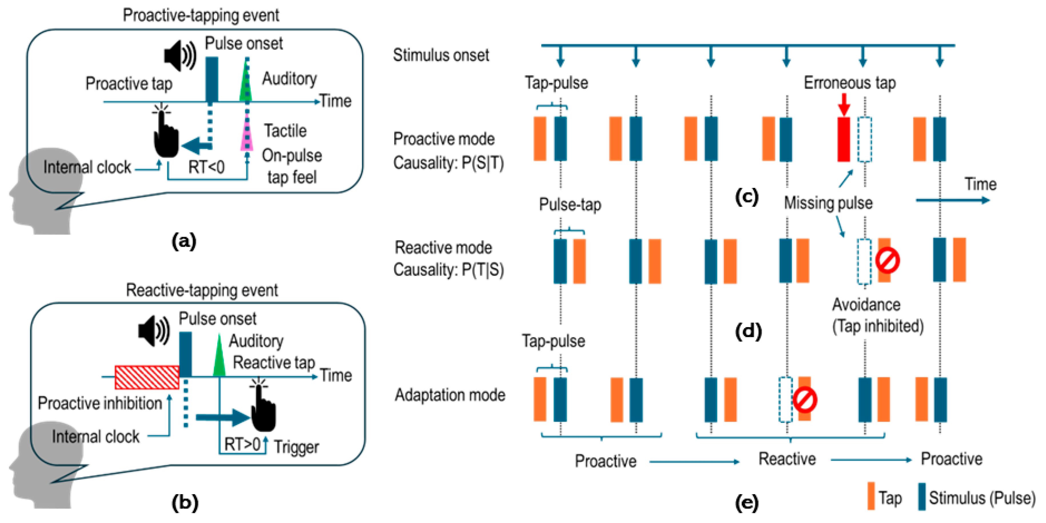 Brainsci 14 00757 g003 Brainsci 14 00757 g003