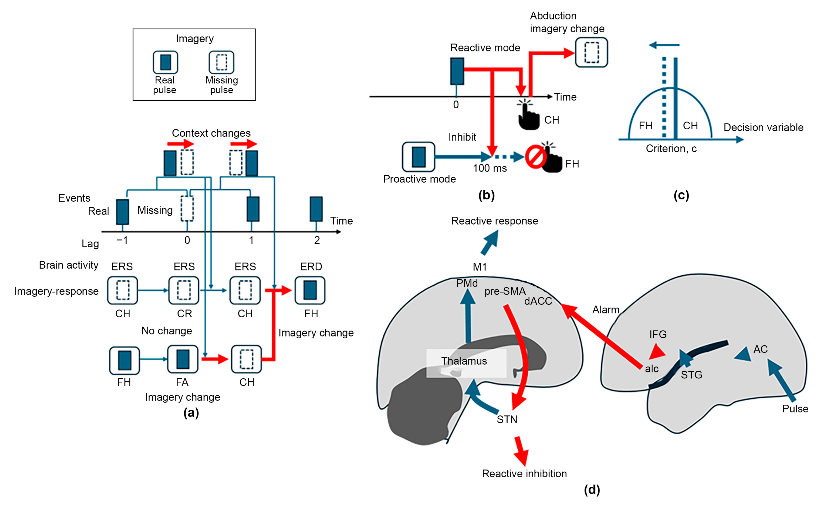 Brainsci 14 00757 g013 Brainsci 14 00757 g013